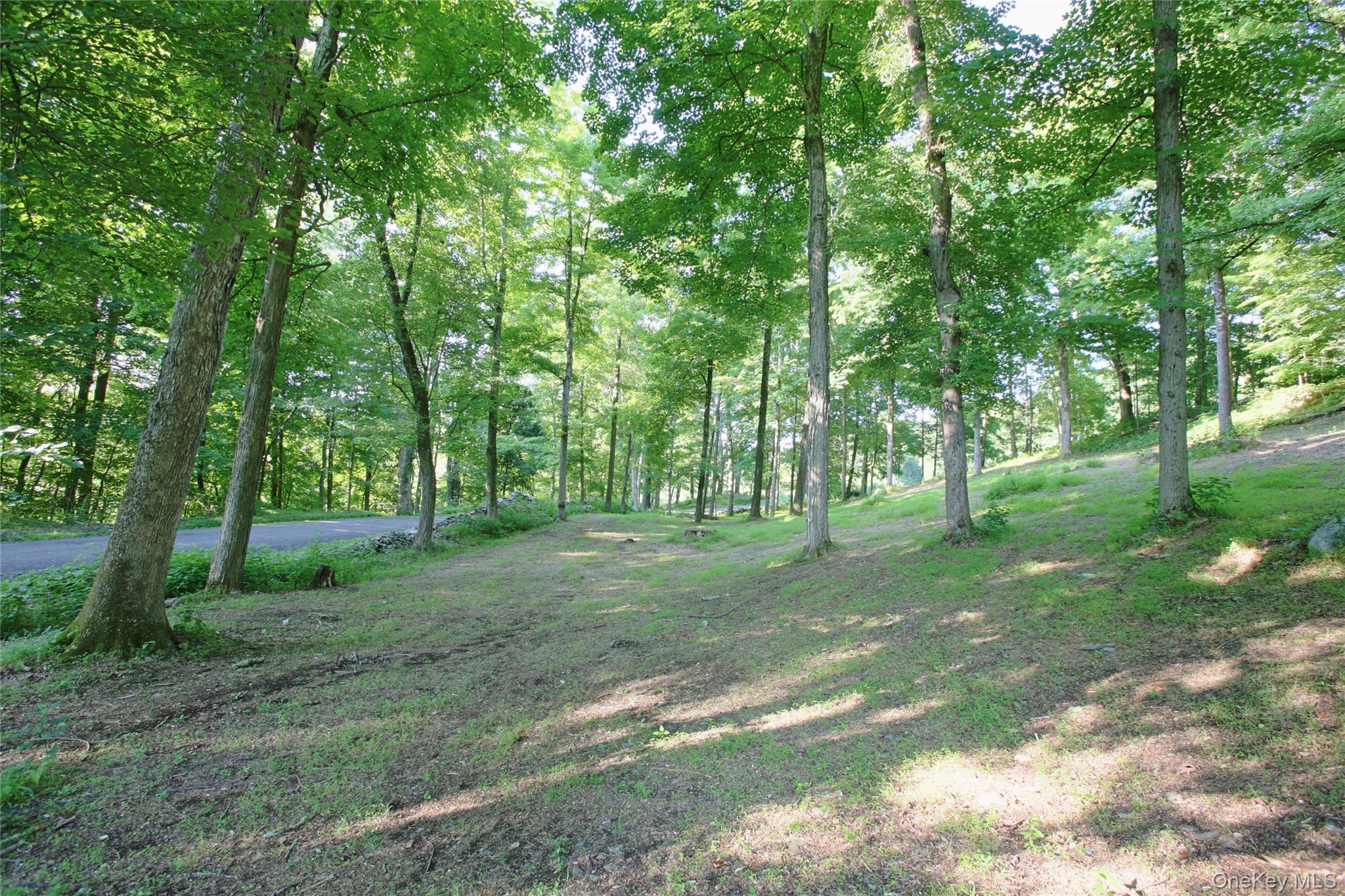 Pond Road – For Sale photo 9