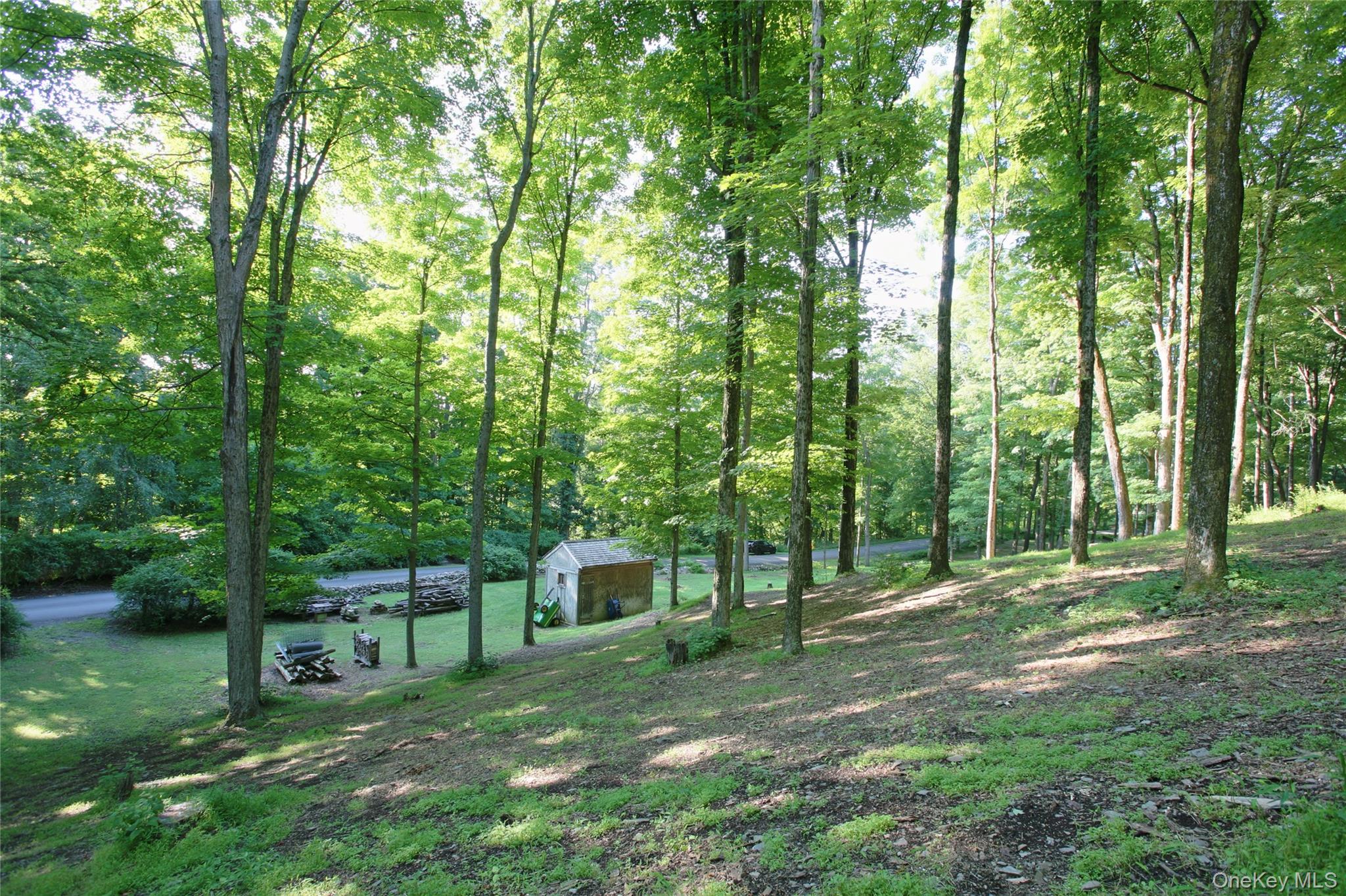 Pond Road – For Sale photo 2