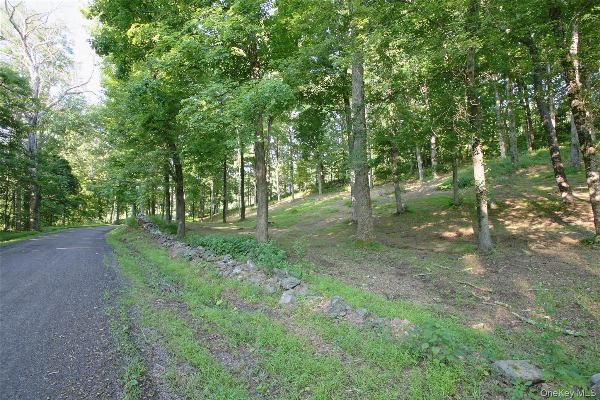 Pond Road – For Sale photo 7