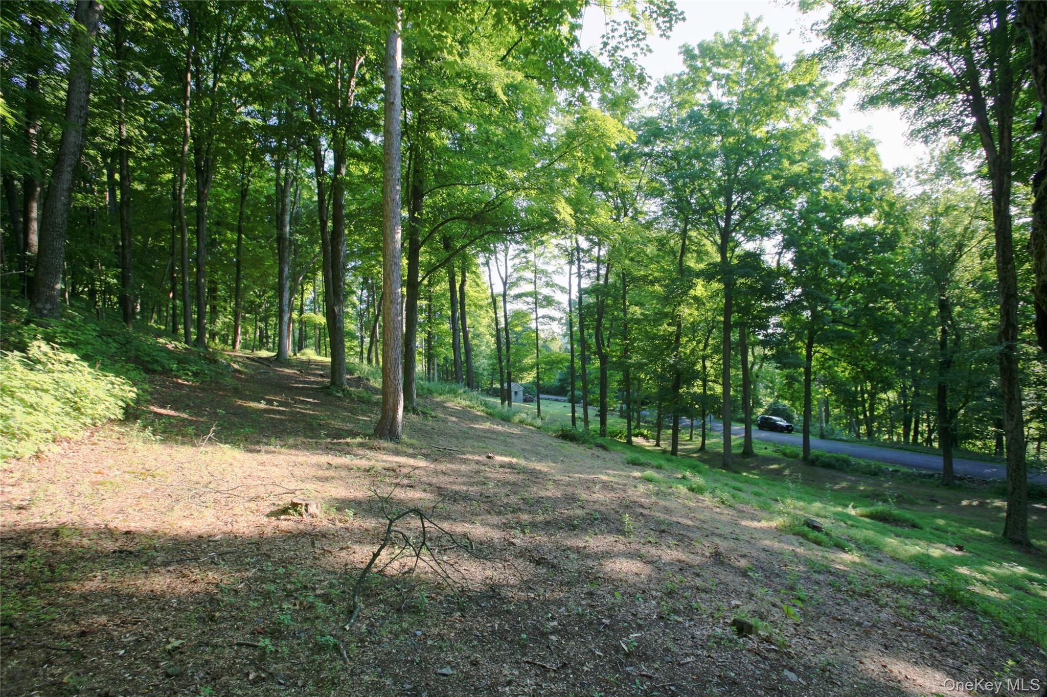 Pond Road – For Sale photo 15