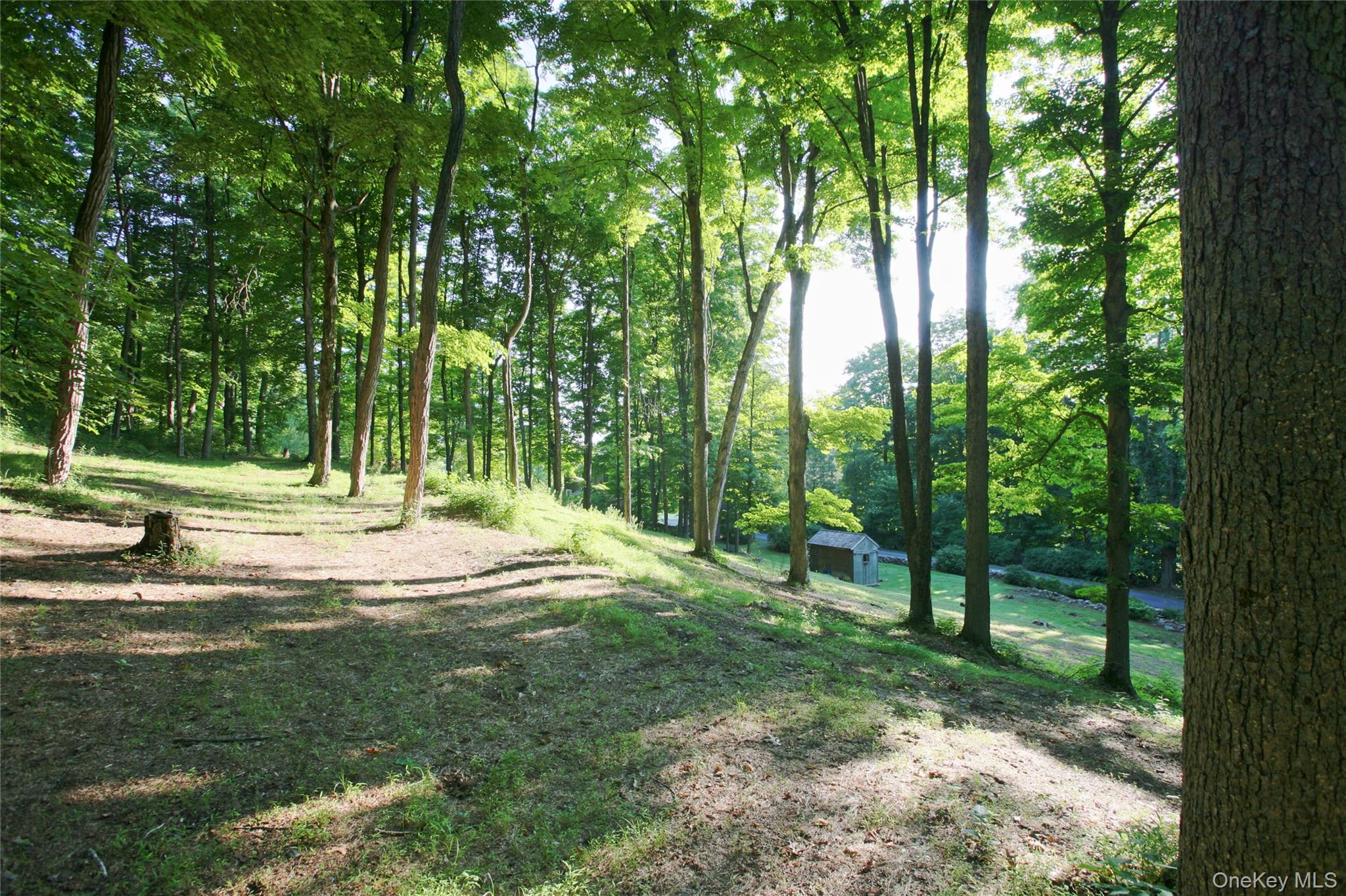 Pond Road – For Sale photo 17