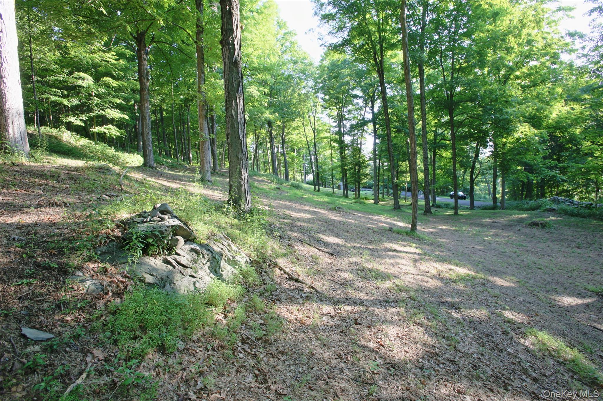 Pond Road – For Sale photo 14