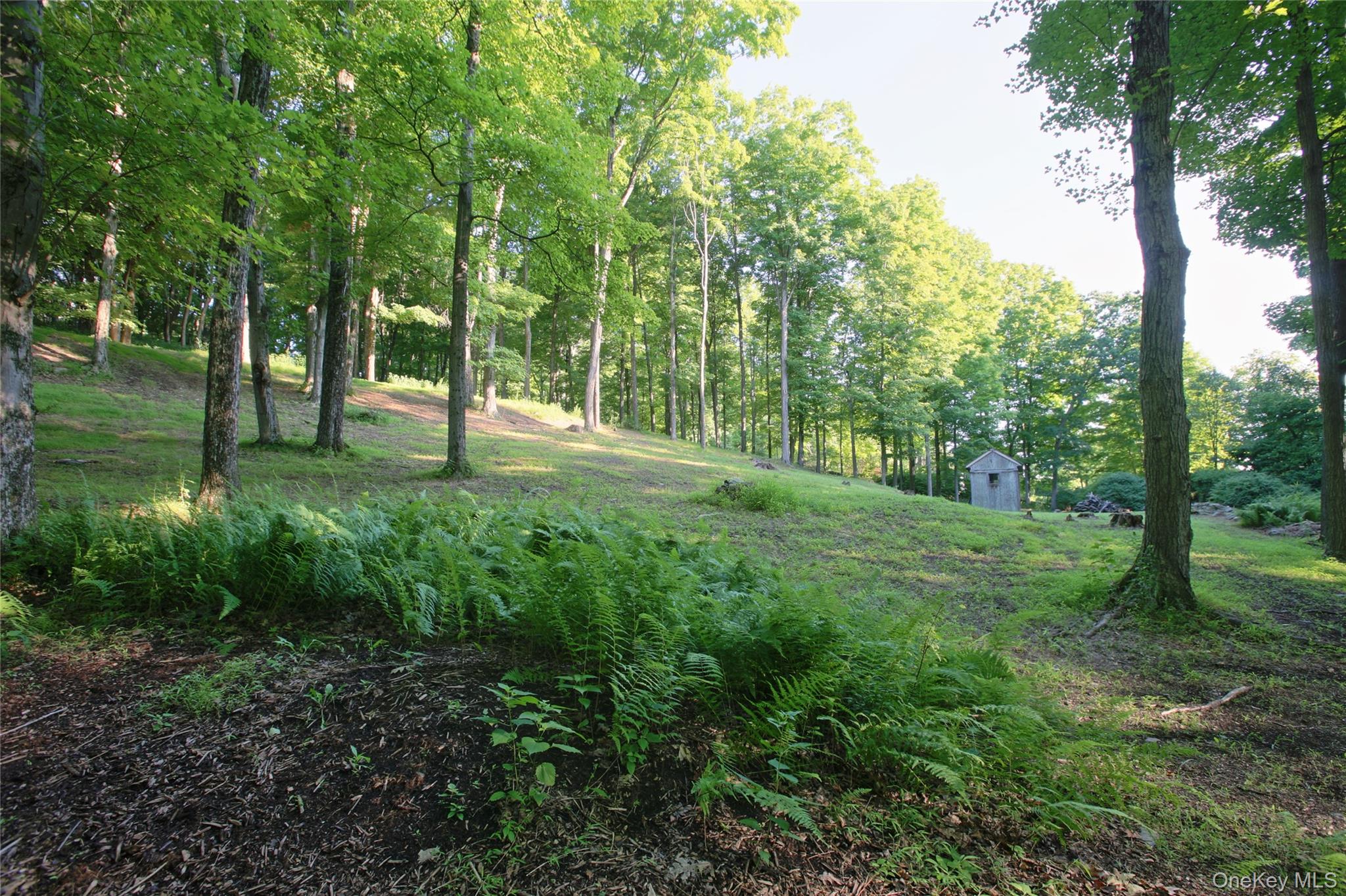 Pond Road – For Sale photo 8