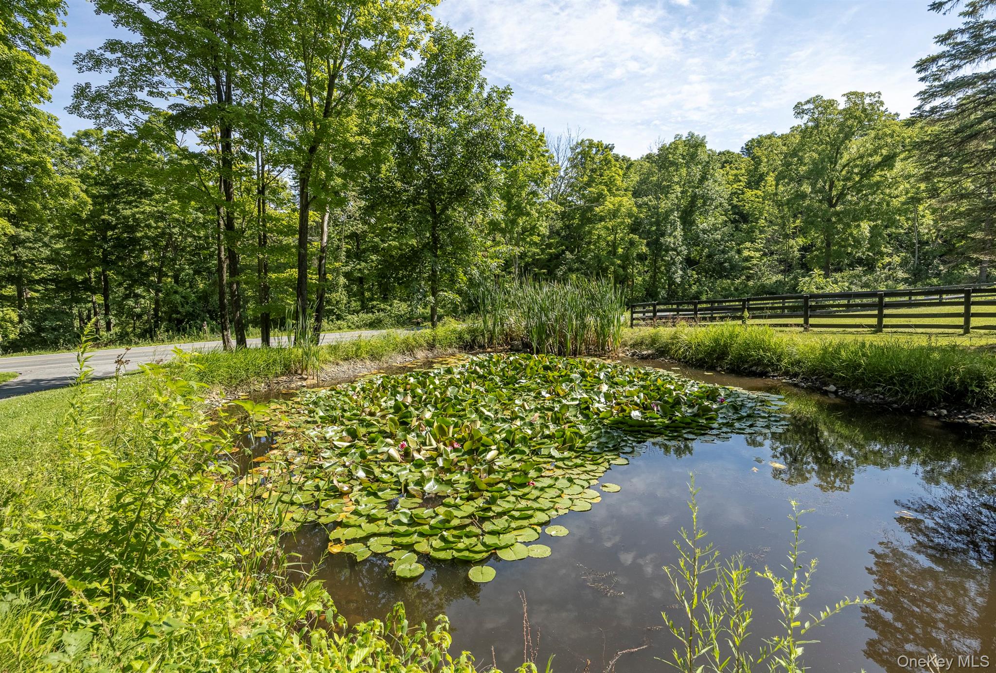 536 Camby Road – For Sale photo 35