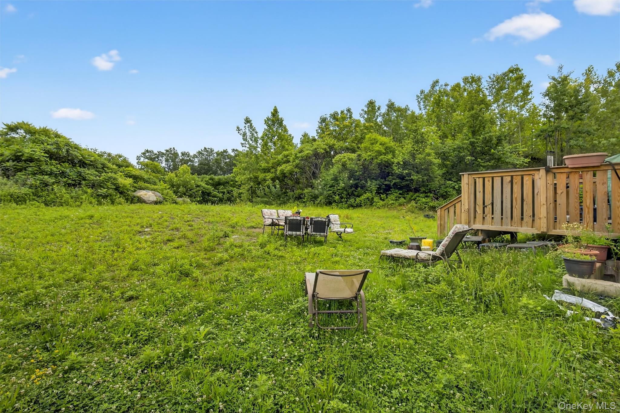 501 Iron Forge Lane – For Sale photo 38