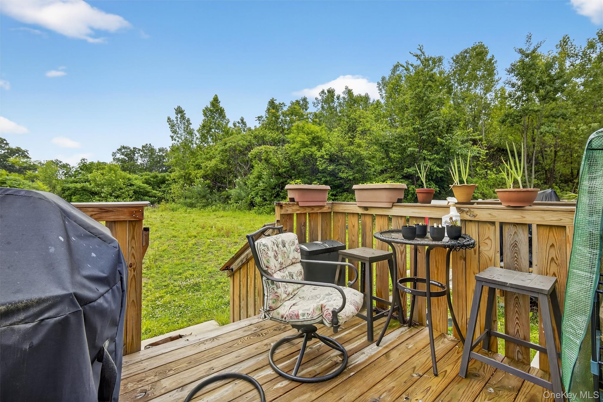 501 Iron Forge Lane – For Sale photo 39