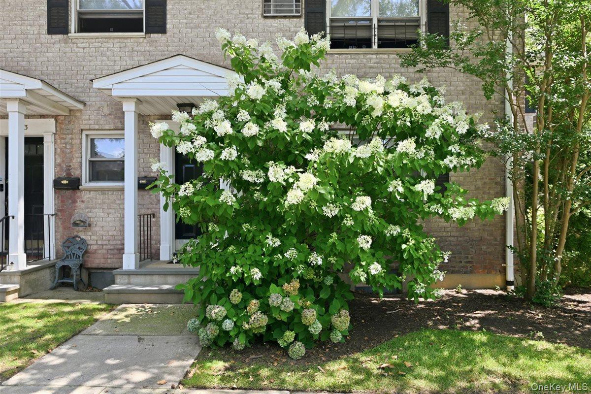 82-75 Langdale Street, Unit 103A photo 2