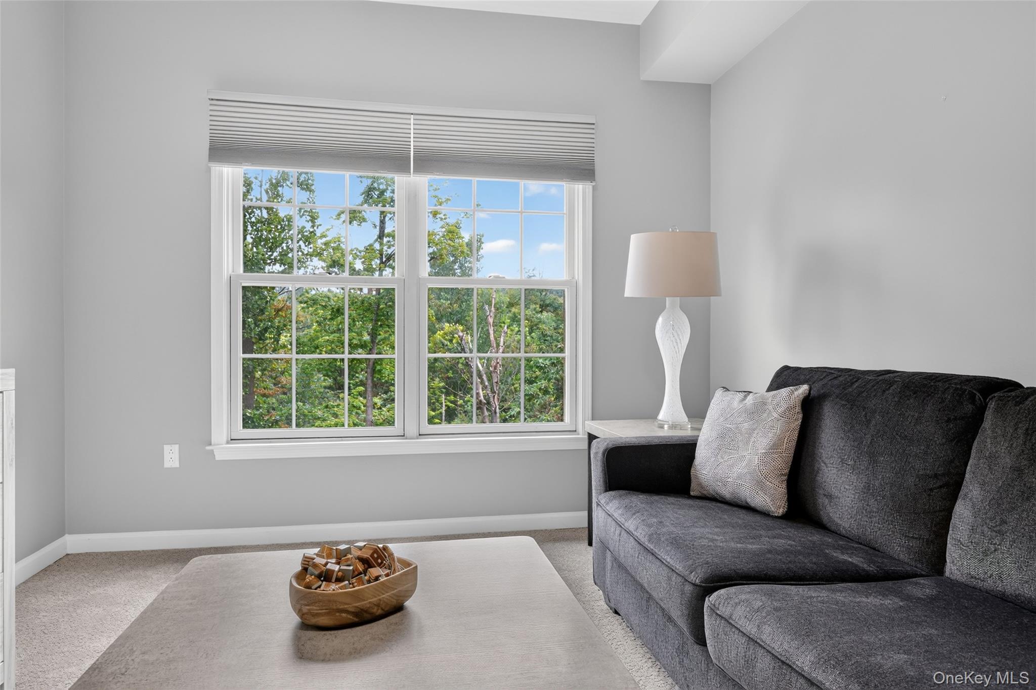 24 N De Baun Avenue, Unit 305 photo 23
