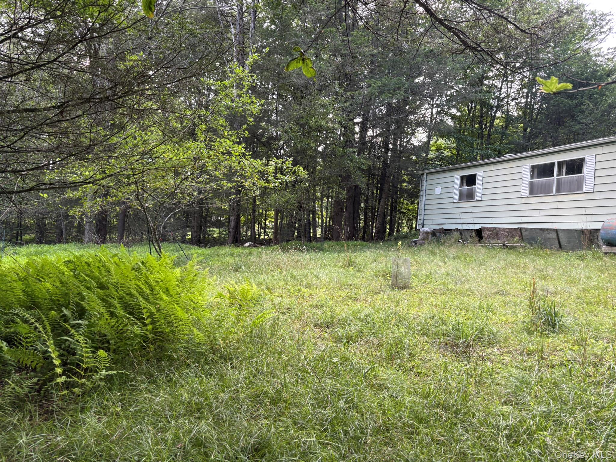 260 Schumway Road – For Sale photo 16