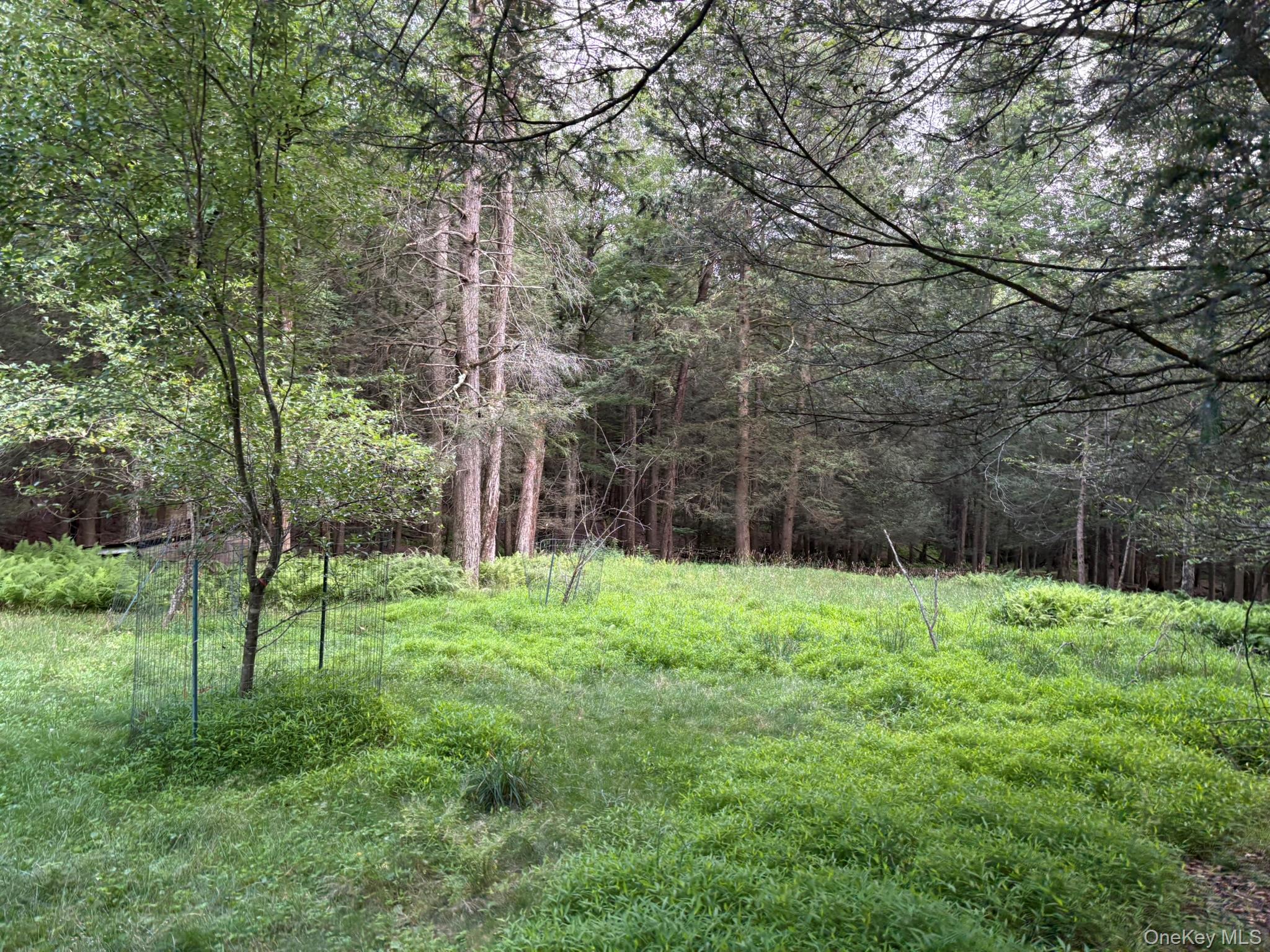 260 Schumway Road – For Sale photo 11