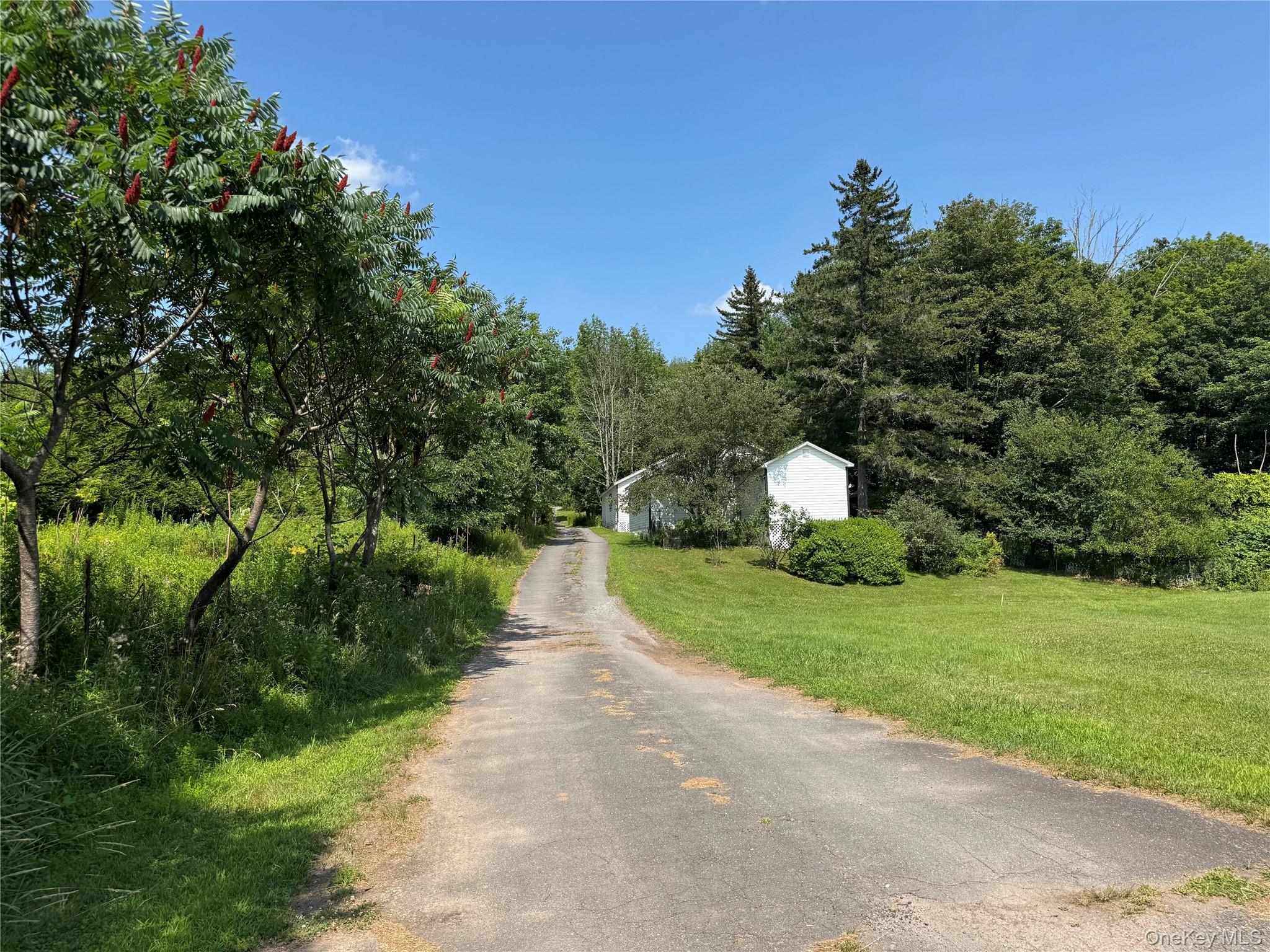 6269 State Route 42, Unit 6279 photo 37