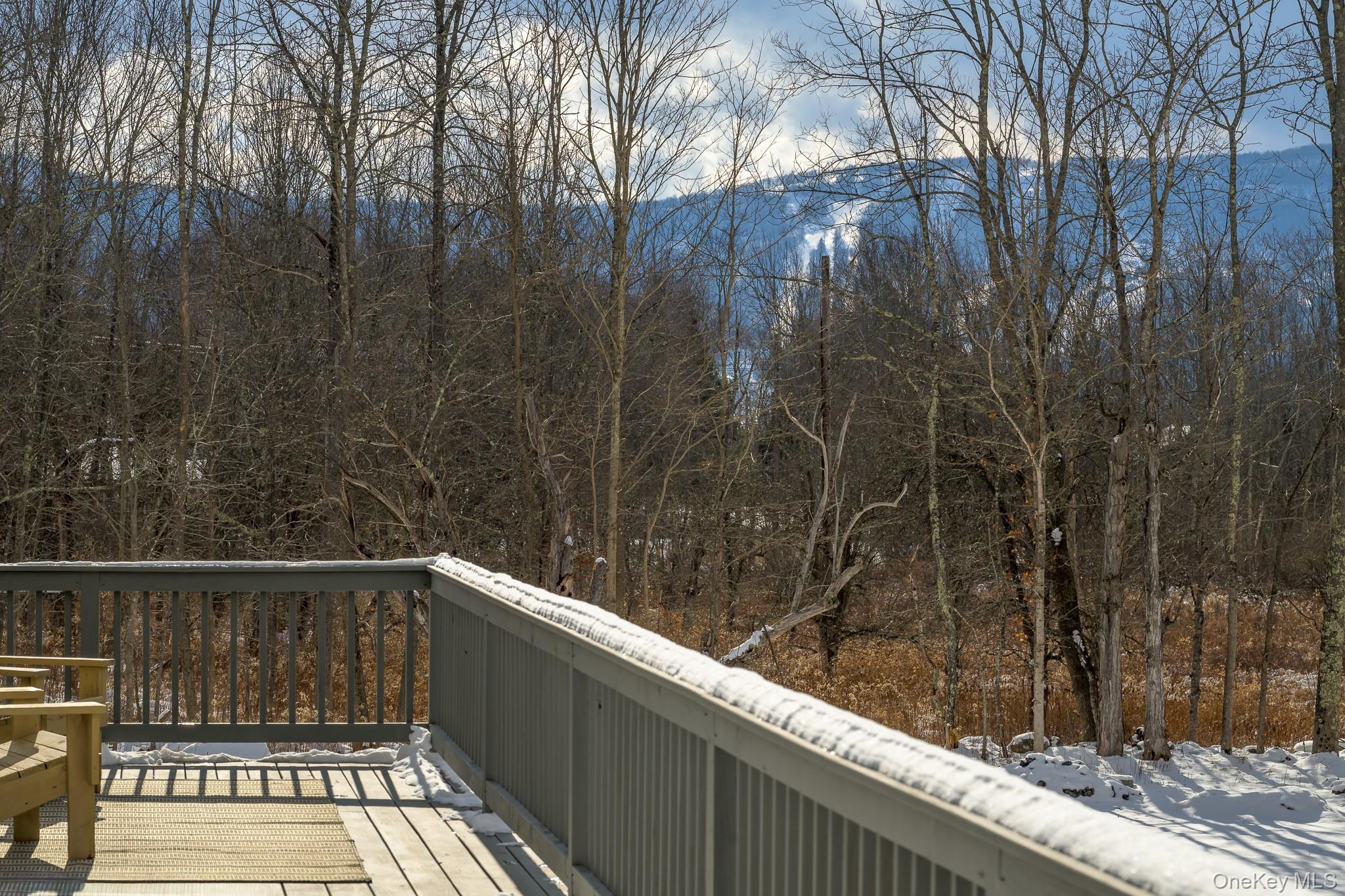 305 Mitchell Hollow Road – For Sale photo 40