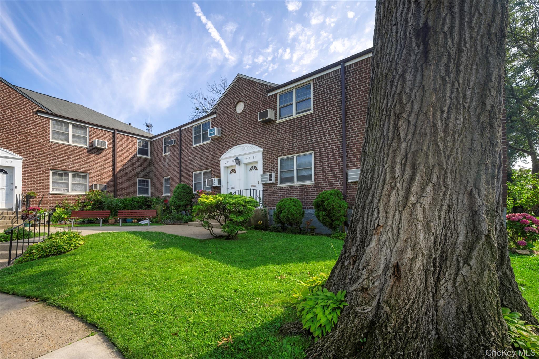 249-33 64th Avenue, Unit 1 photo 4