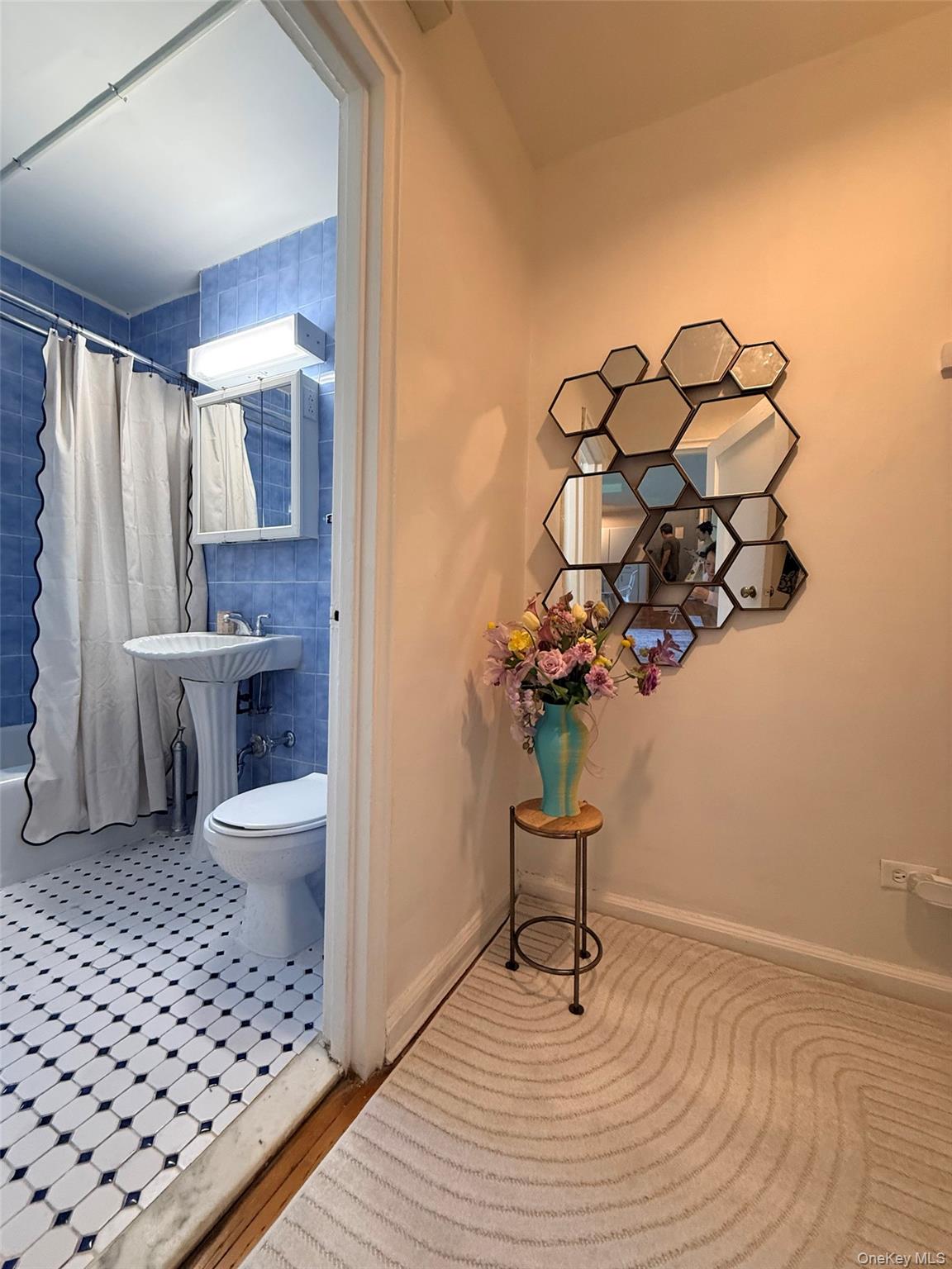 144-44 41st Avenue, Unit 5J photo 10