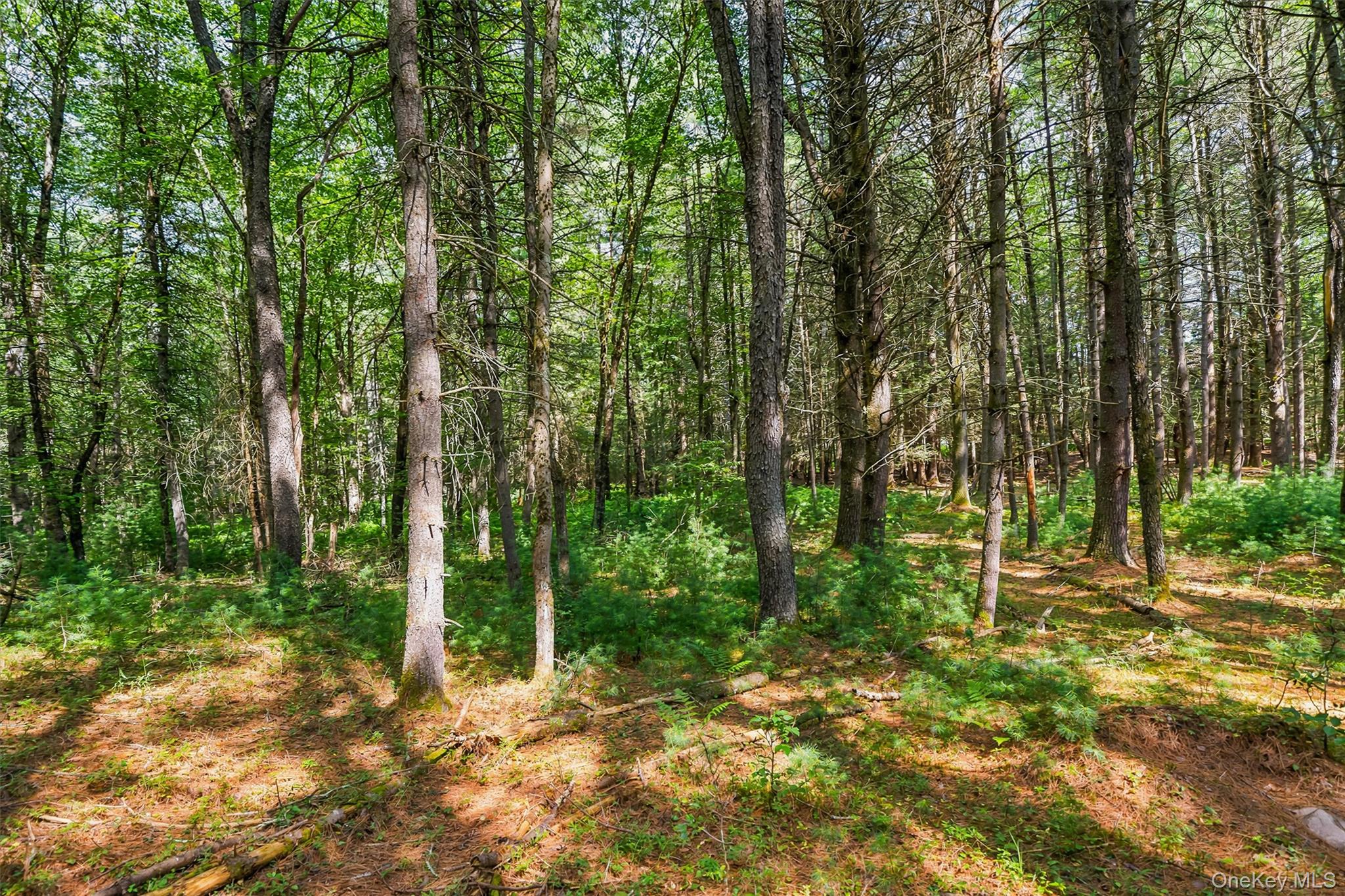 111 Deer Meadow Road – For Sale photo 49