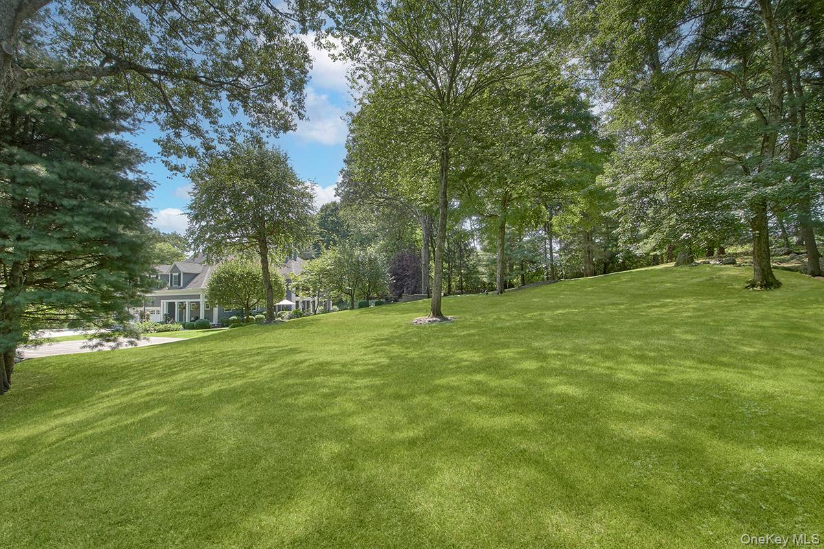 9 Trails End – For Sale photo 46