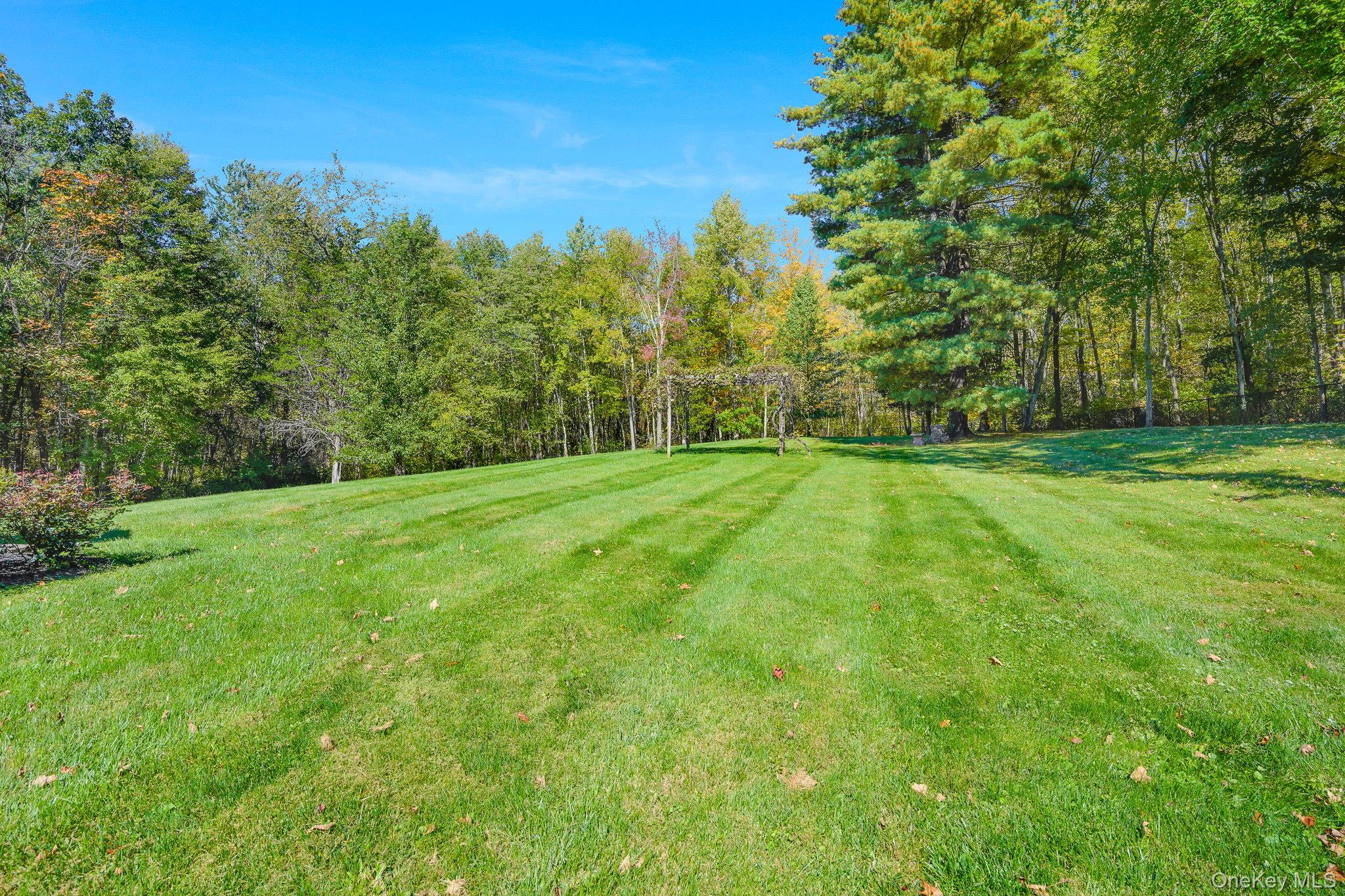 51 Red Hawk Hollow Road – For Sale photo 26