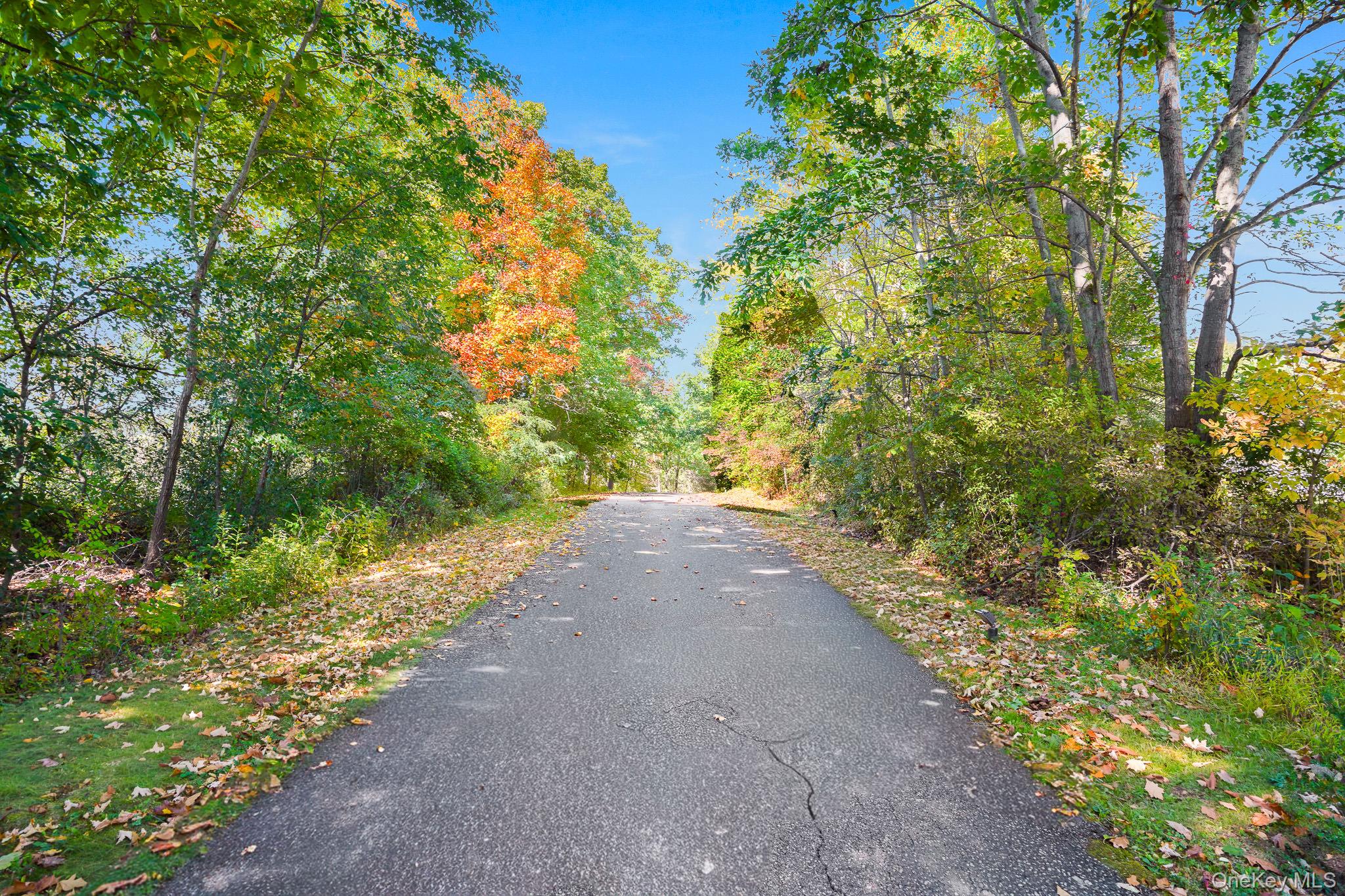 51 Red Hawk Hollow Road – For Sale photo 5