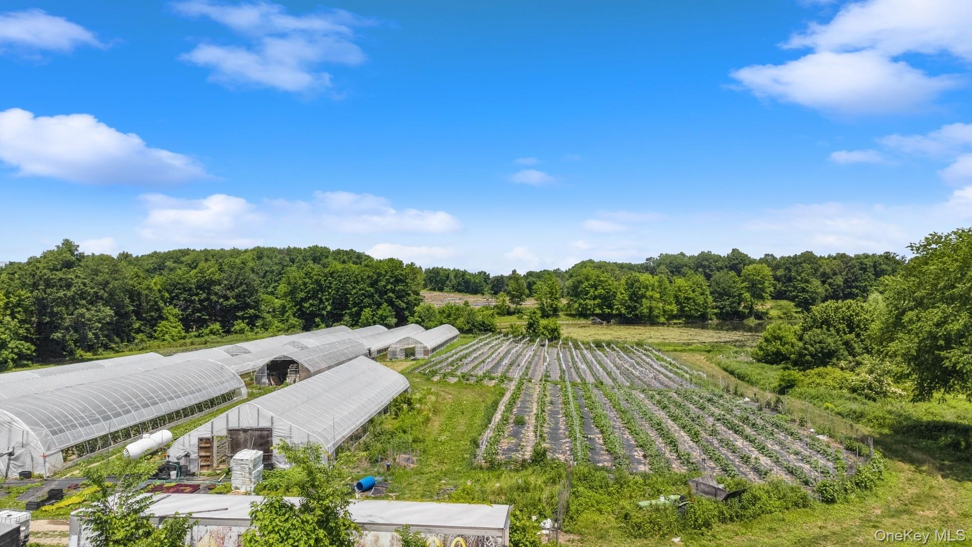 2660 State Route 208 – For Sale photo 9