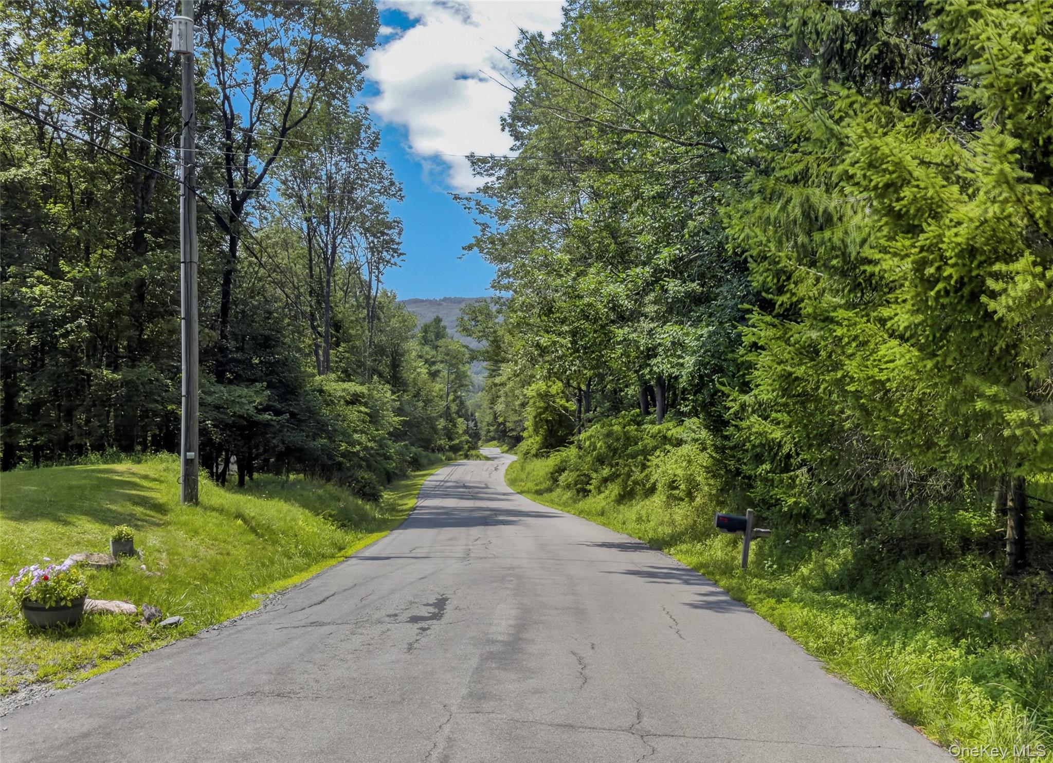 TDB White Roe Lake Road – For Sale