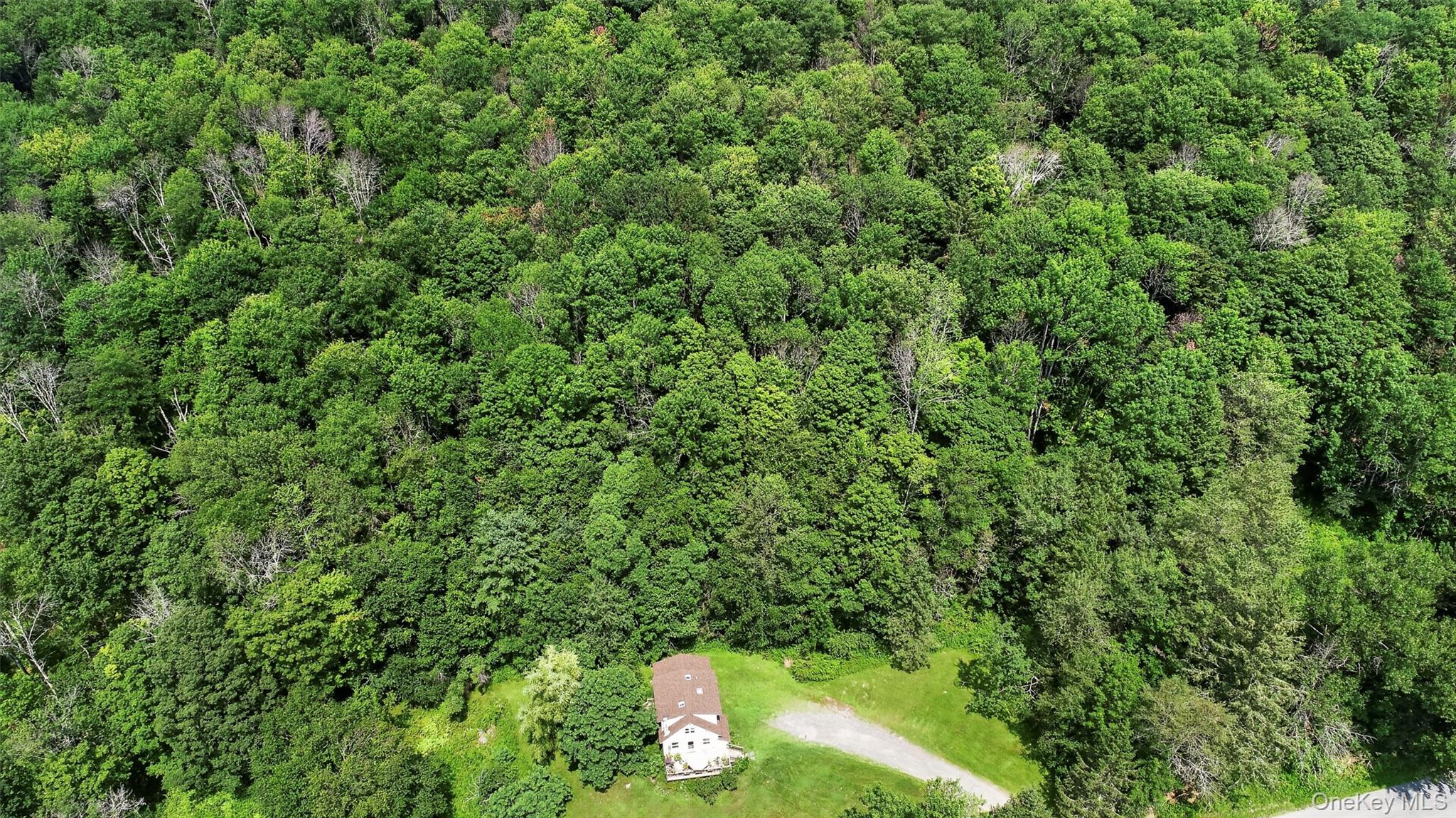 TDB White Roe Lake Road – For Sale photo 2