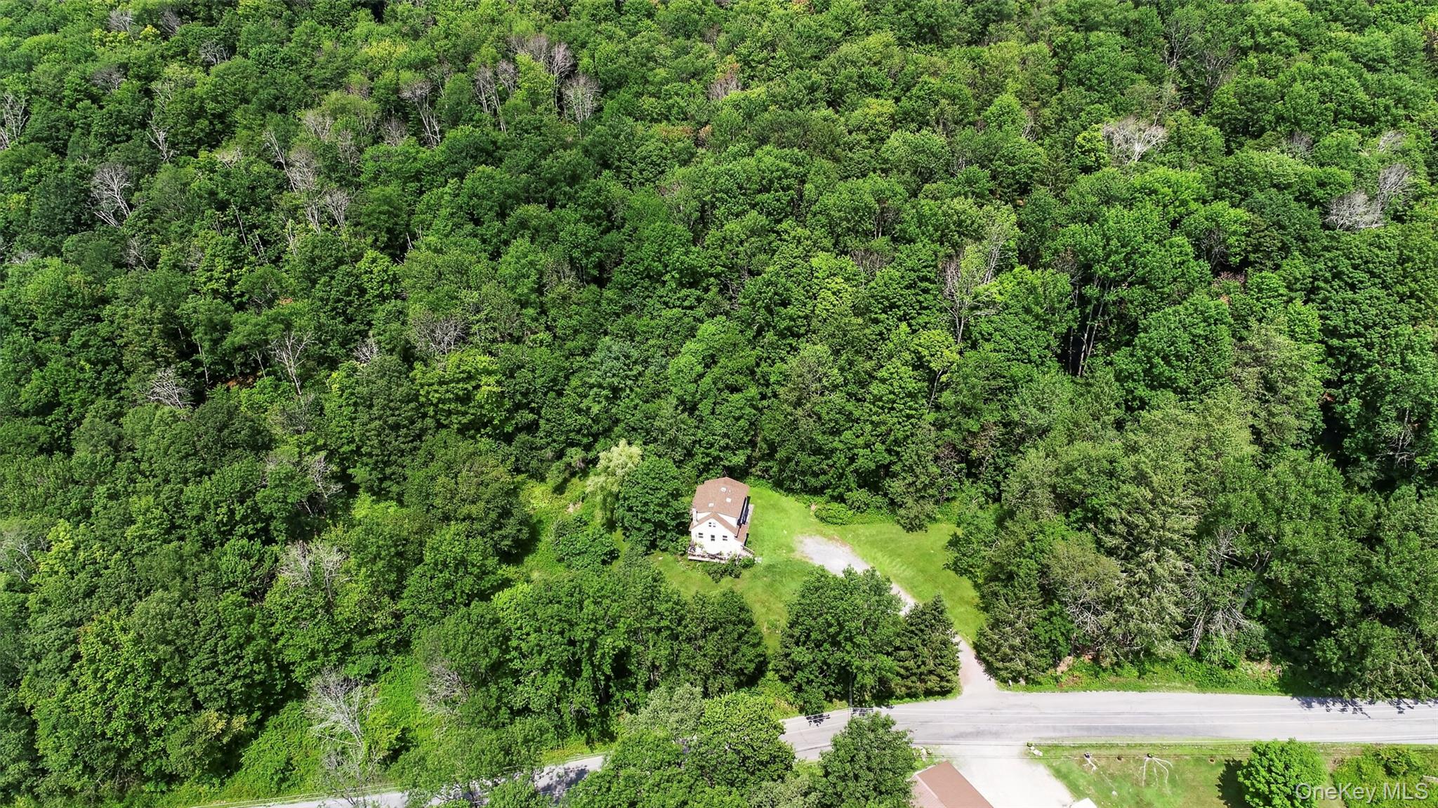 TDB White Roe Lake Road – For Sale photo 3