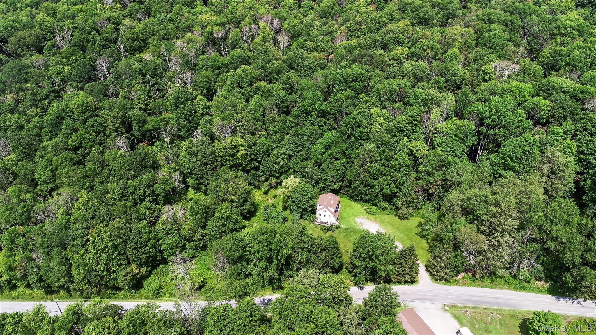 TDB White Roe Lake Road – For Sale photo 4