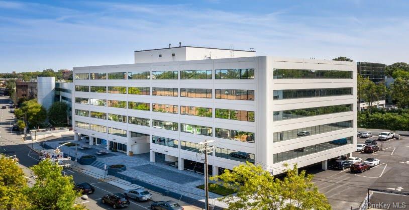 60 Cuttermill Road, Unit 612