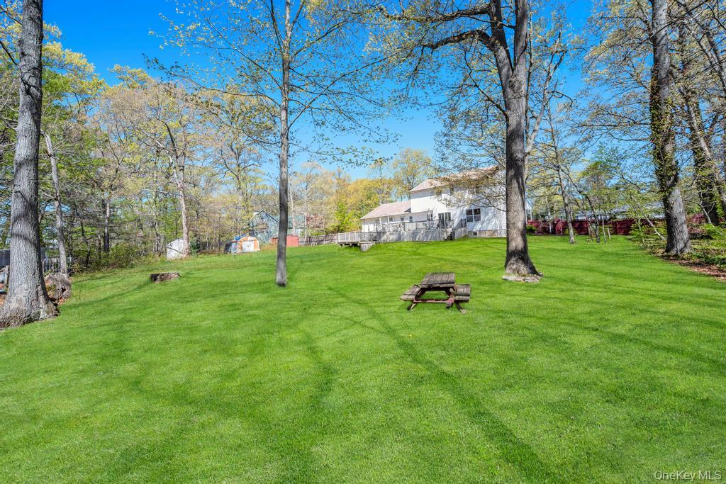 32 Prince Road – For Sale photo 36