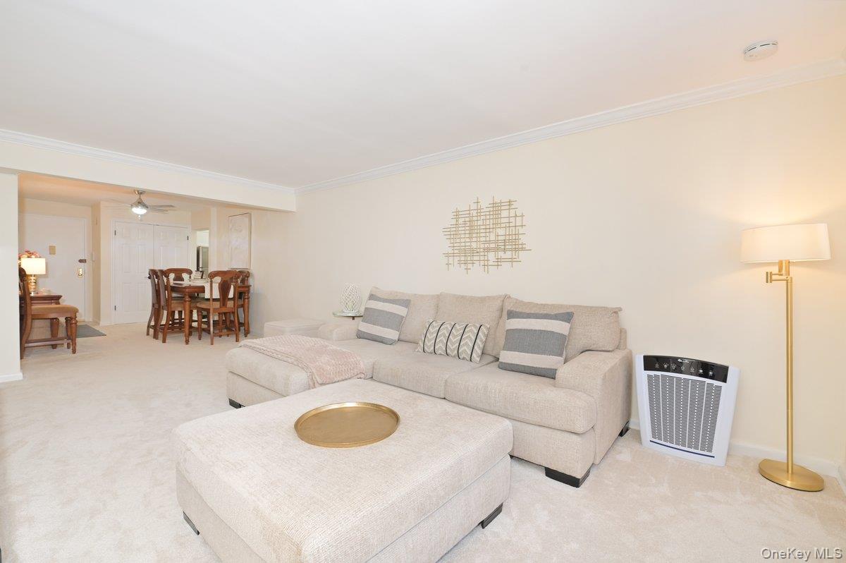 4 Birchwood Court, Unit #1O photo 4