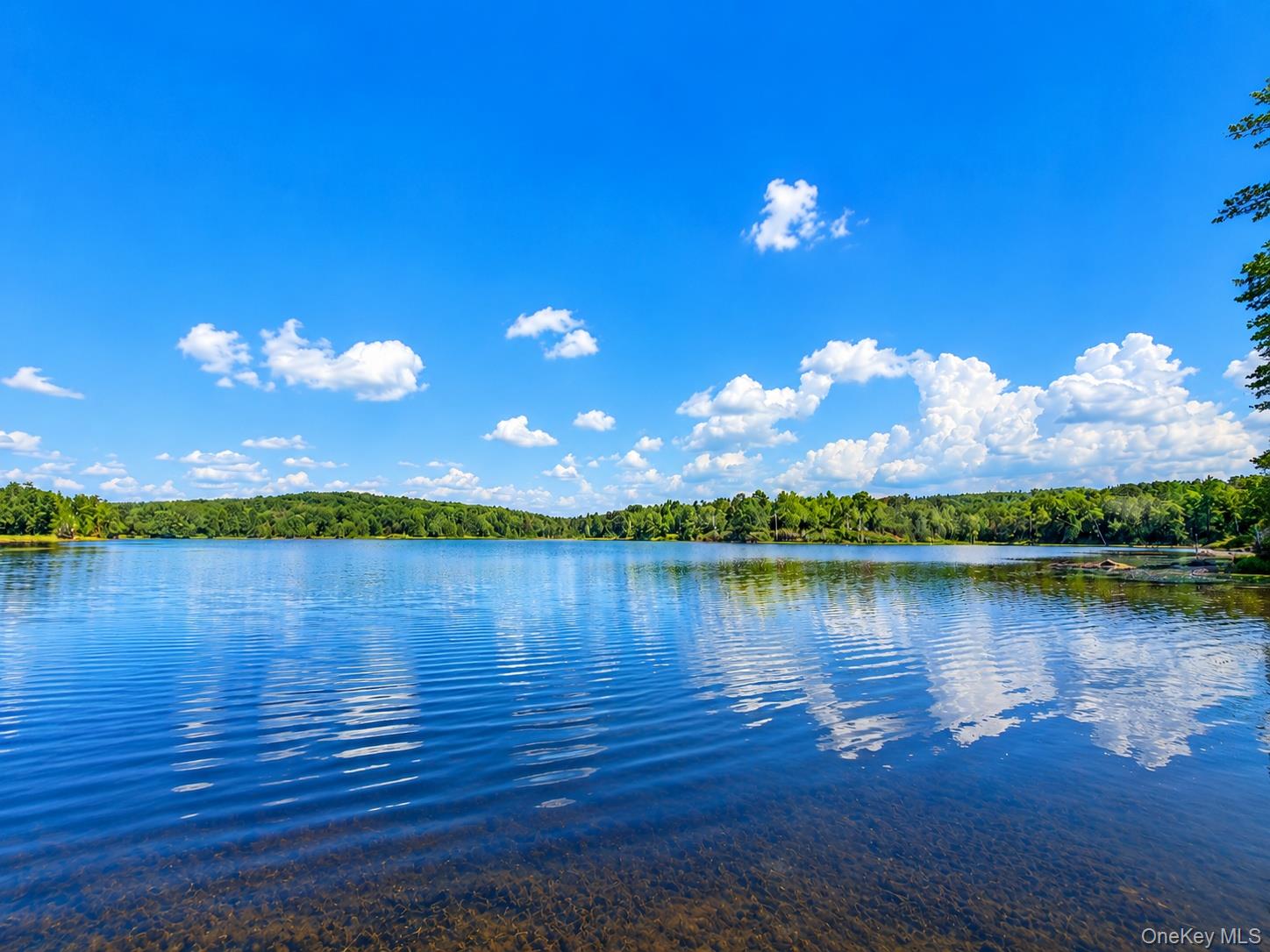 94-100 Dingle Daisy Road – For Sale photo 20