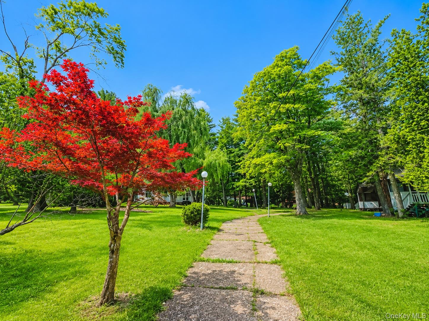 94-100 Dingle Daisy Road – For Sale photo 9