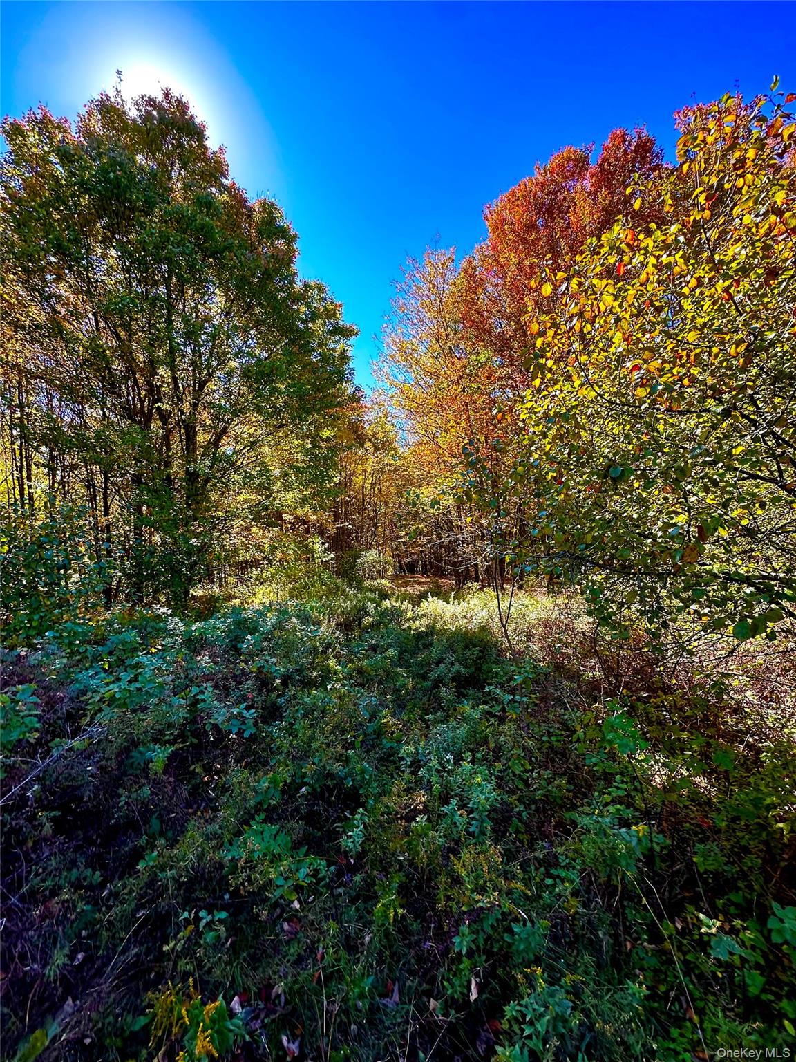 344 Midway Road – For Sale photo 8