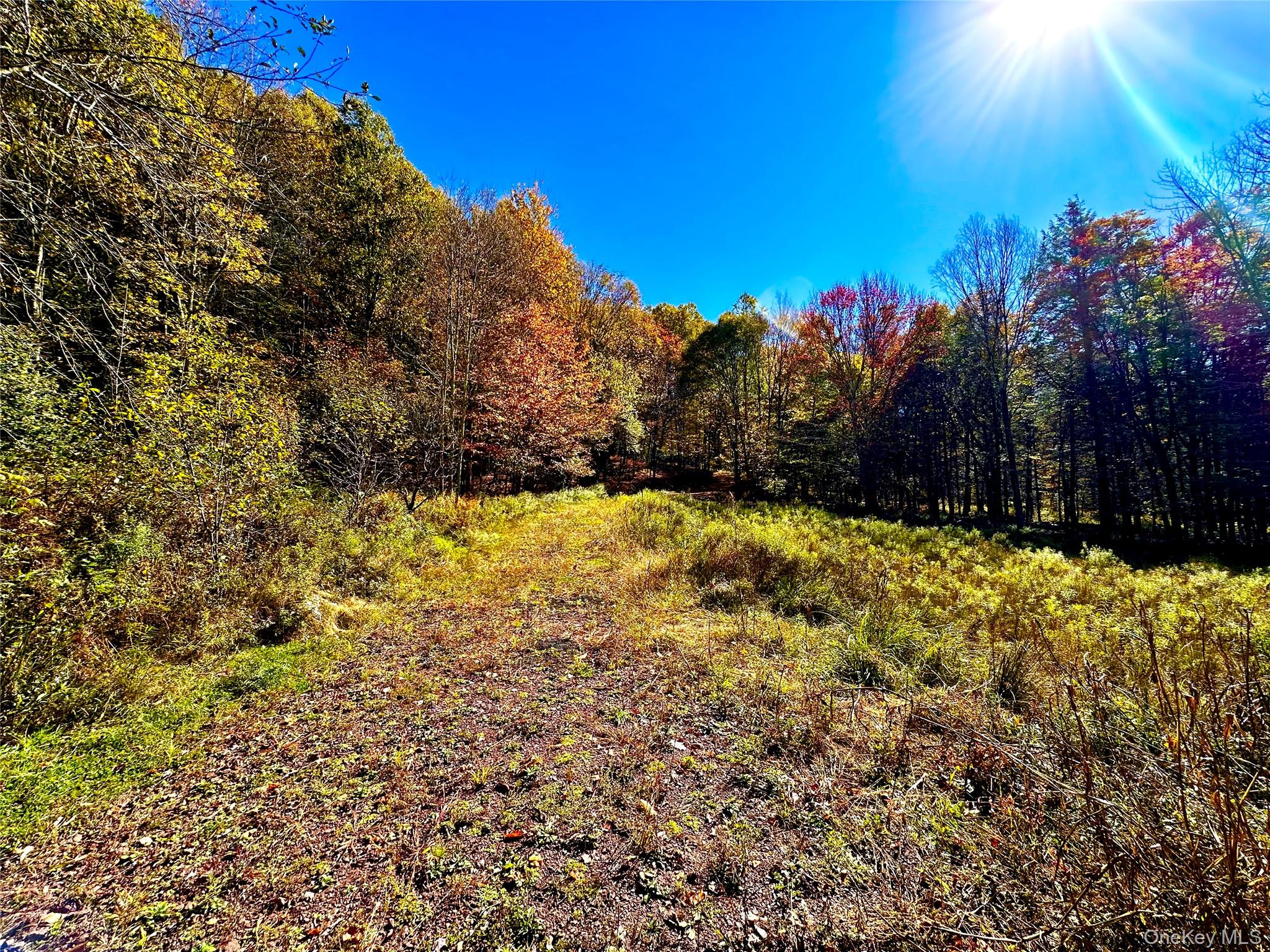 344 Midway Road – For Sale photo 6