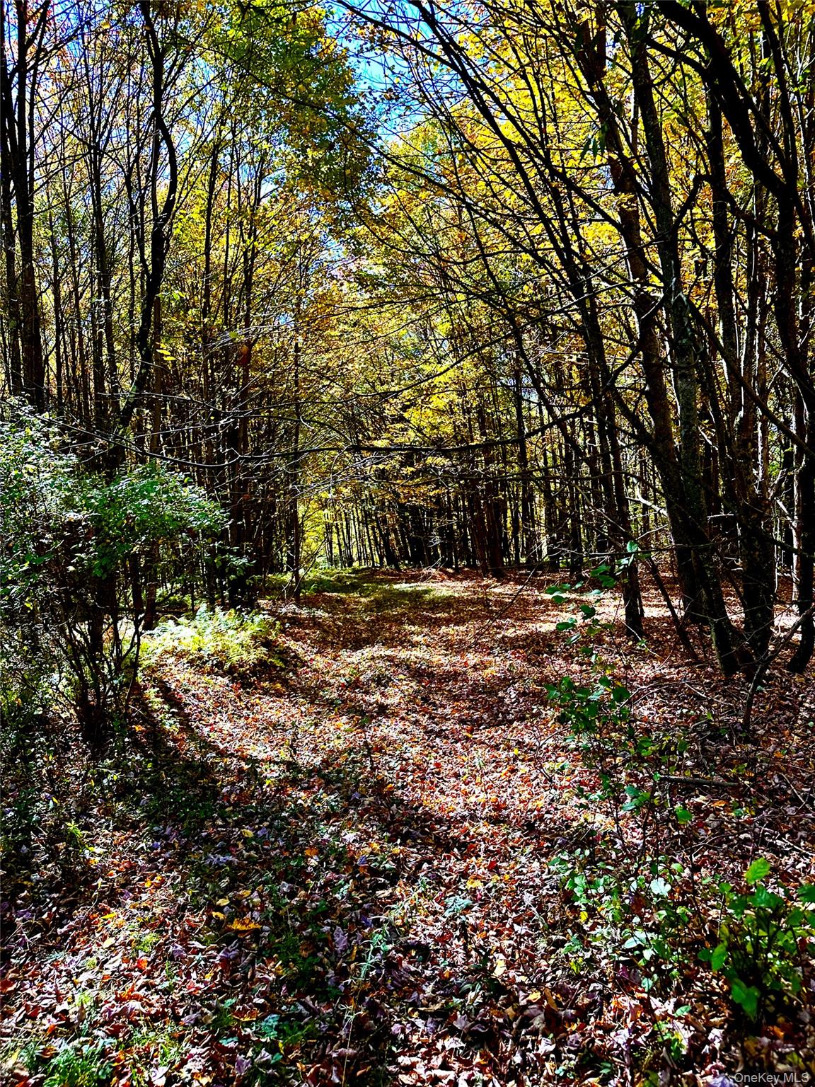 344 Midway Road – For Sale photo 9