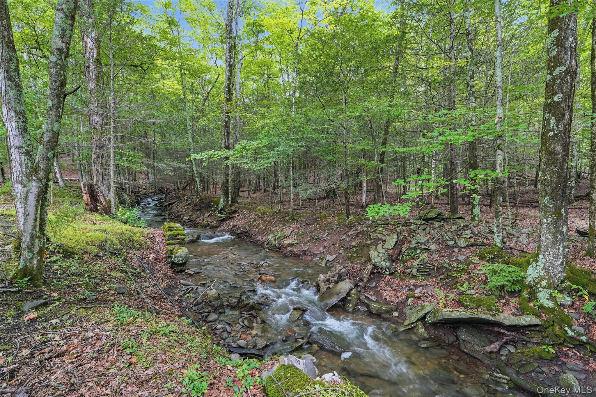 2320 Glasco Turnpike – For Sale photo 49