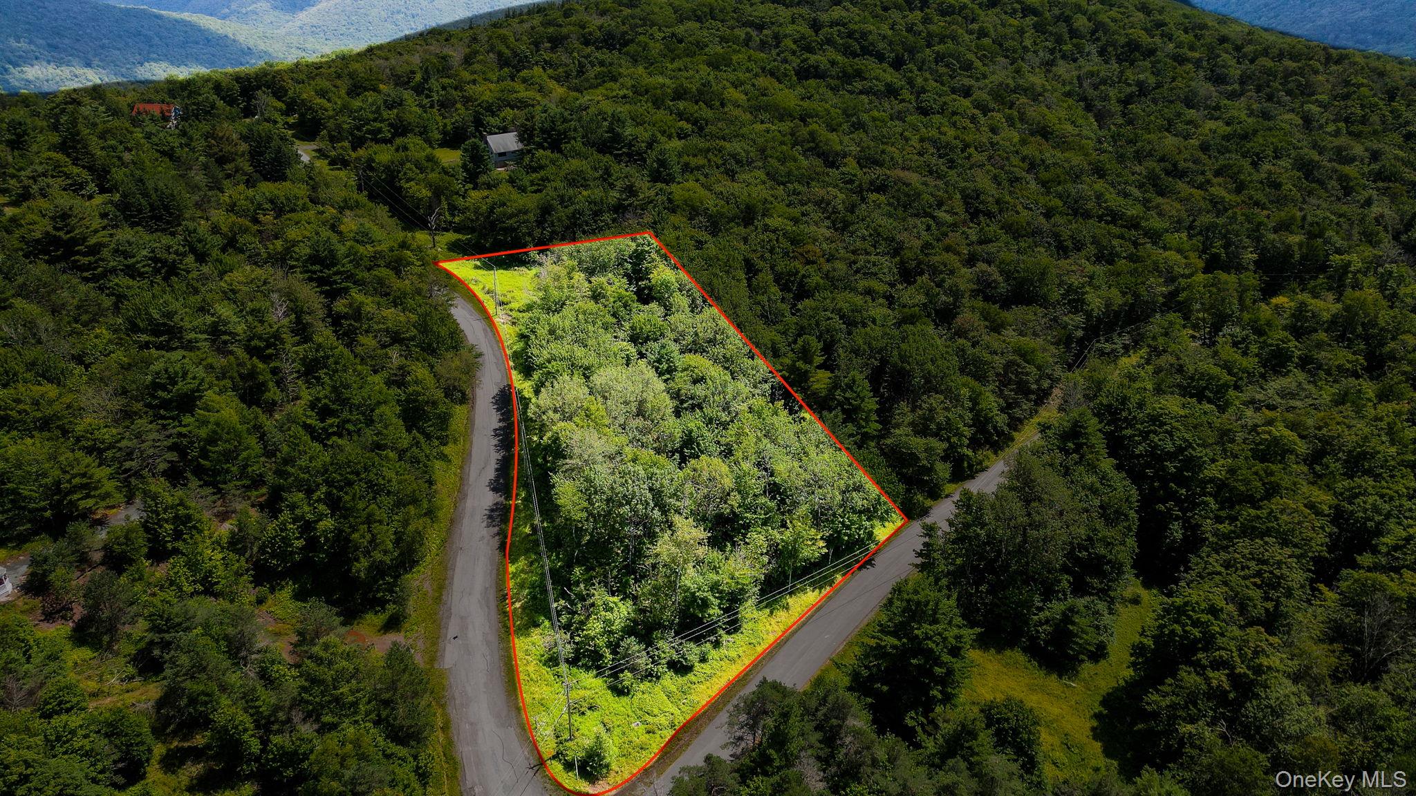 00 Red Hill Knolls Road – For Sale photo 2