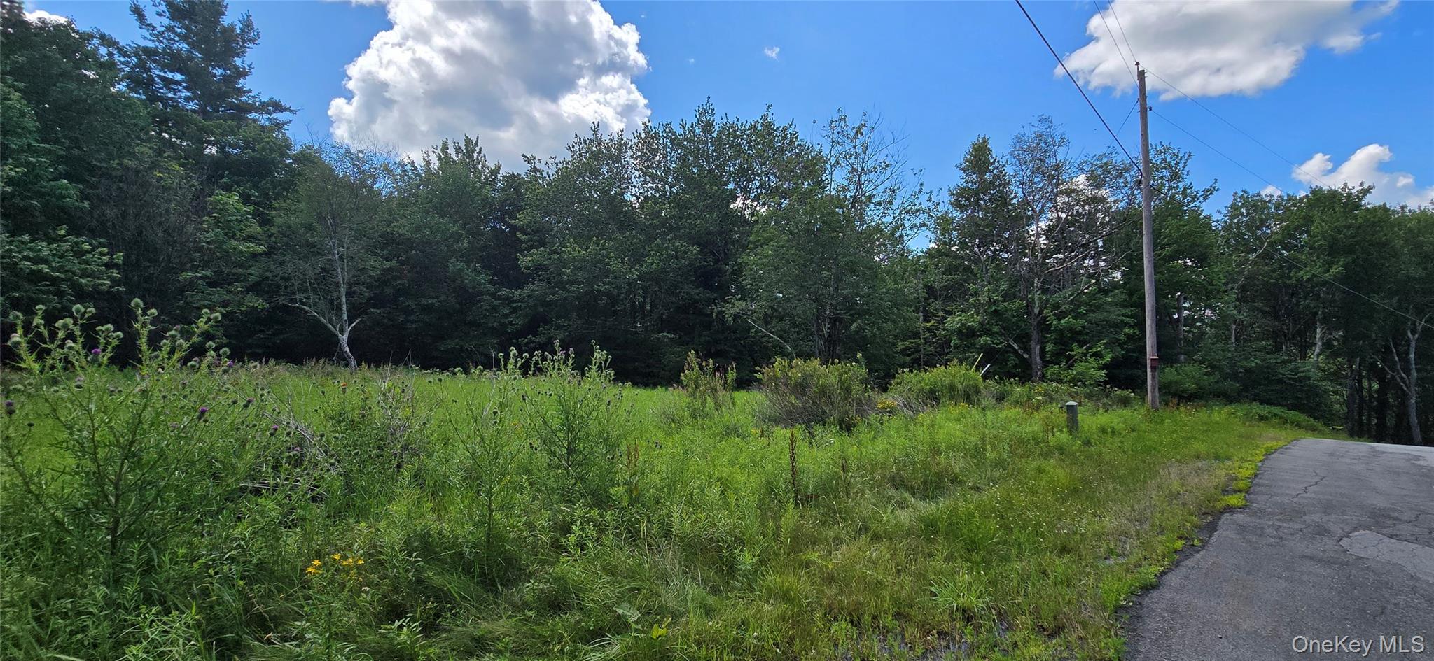 00 Red Hill Knolls Road – For Sale photo 4