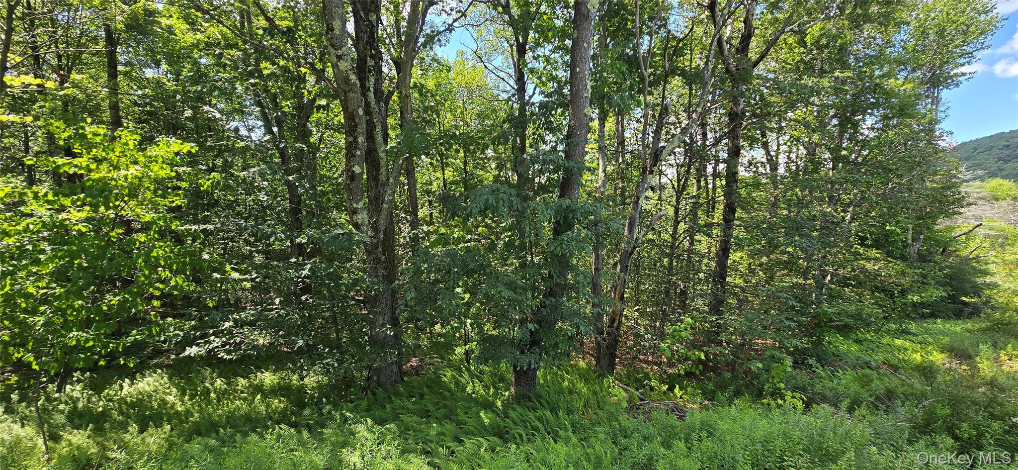00 Red Hill Knolls Road – For Sale photo 13