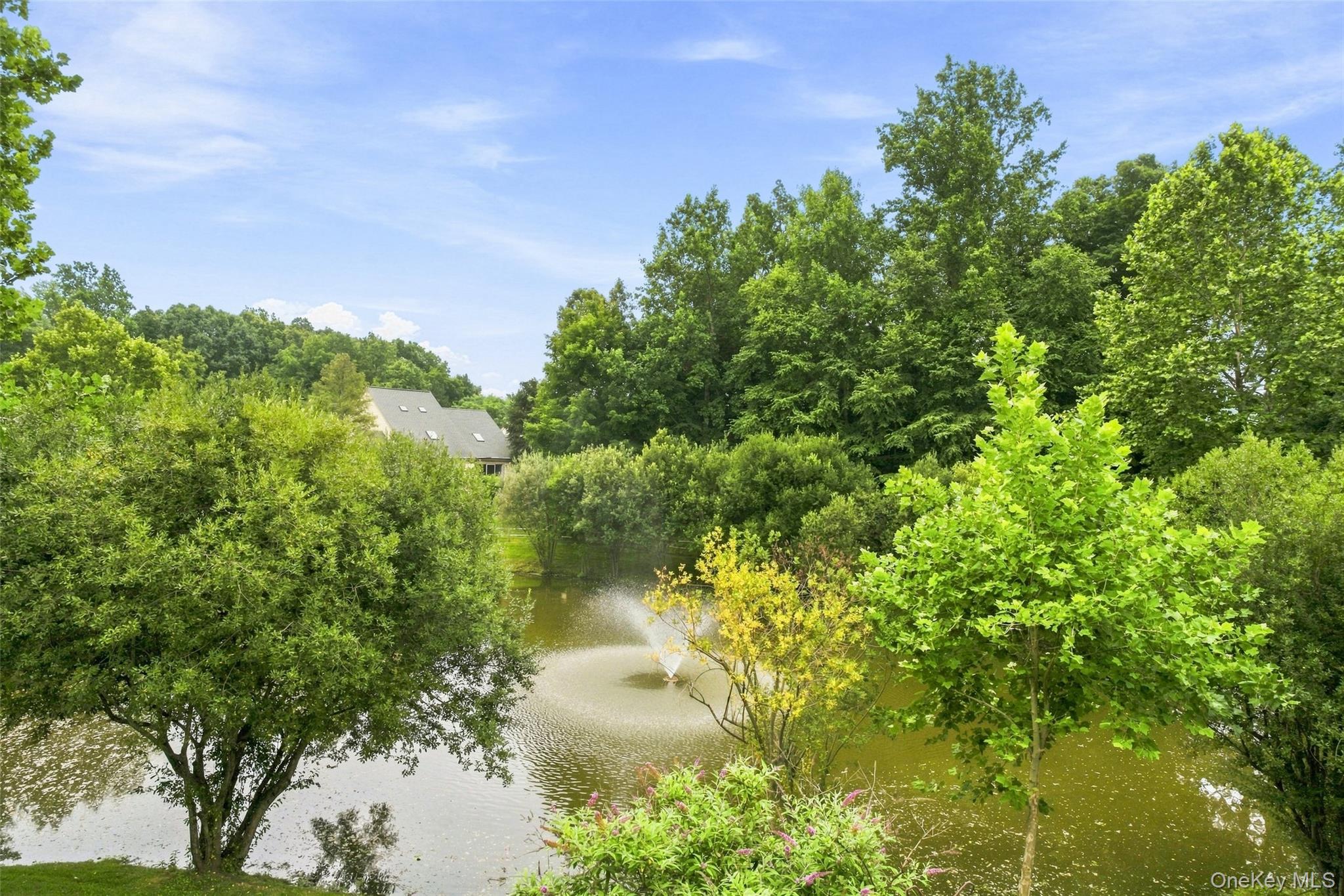 165 Underhill Lane – For Sale photo 45