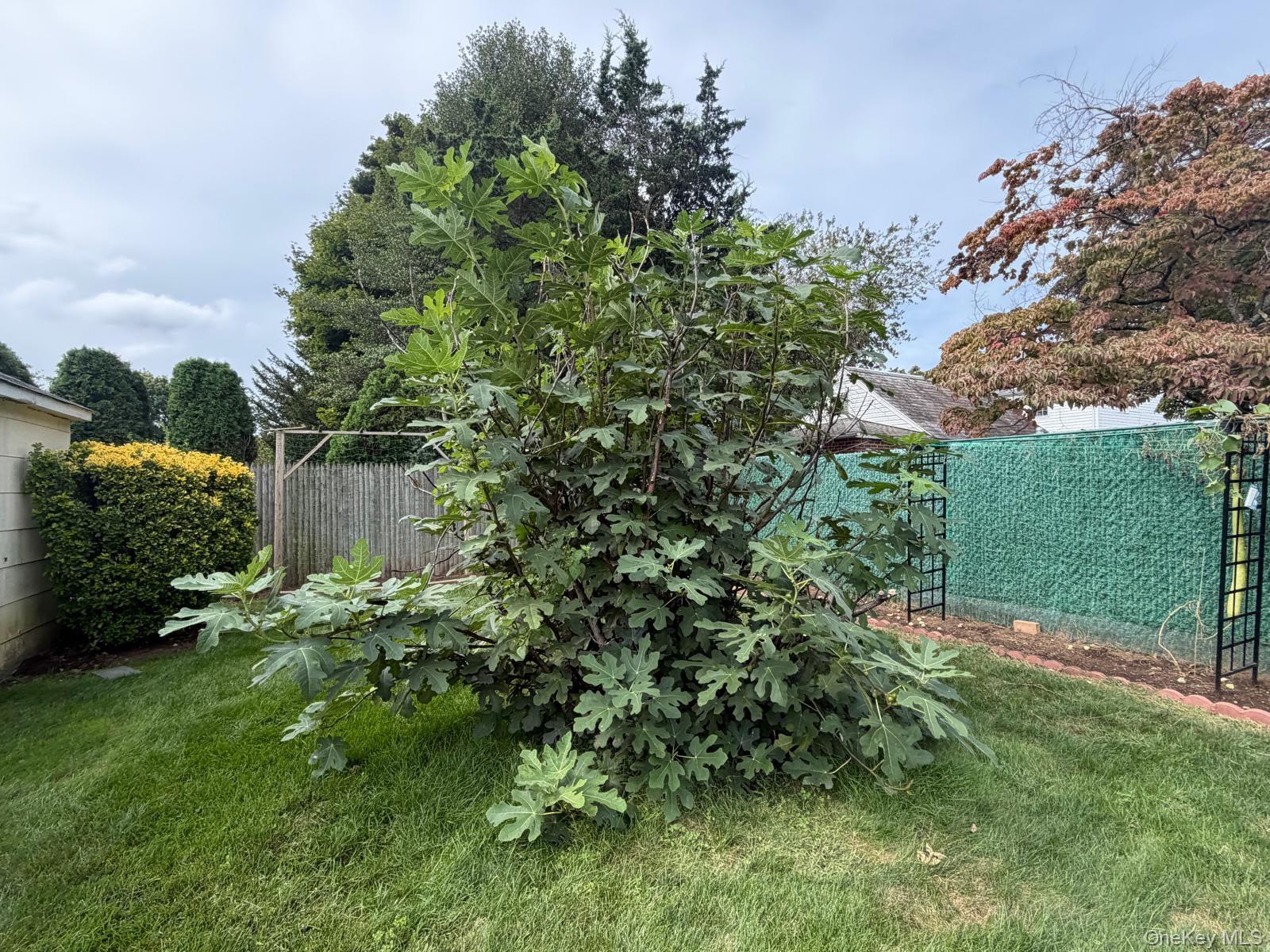 148 Canterbury Road – For Sale photo 12