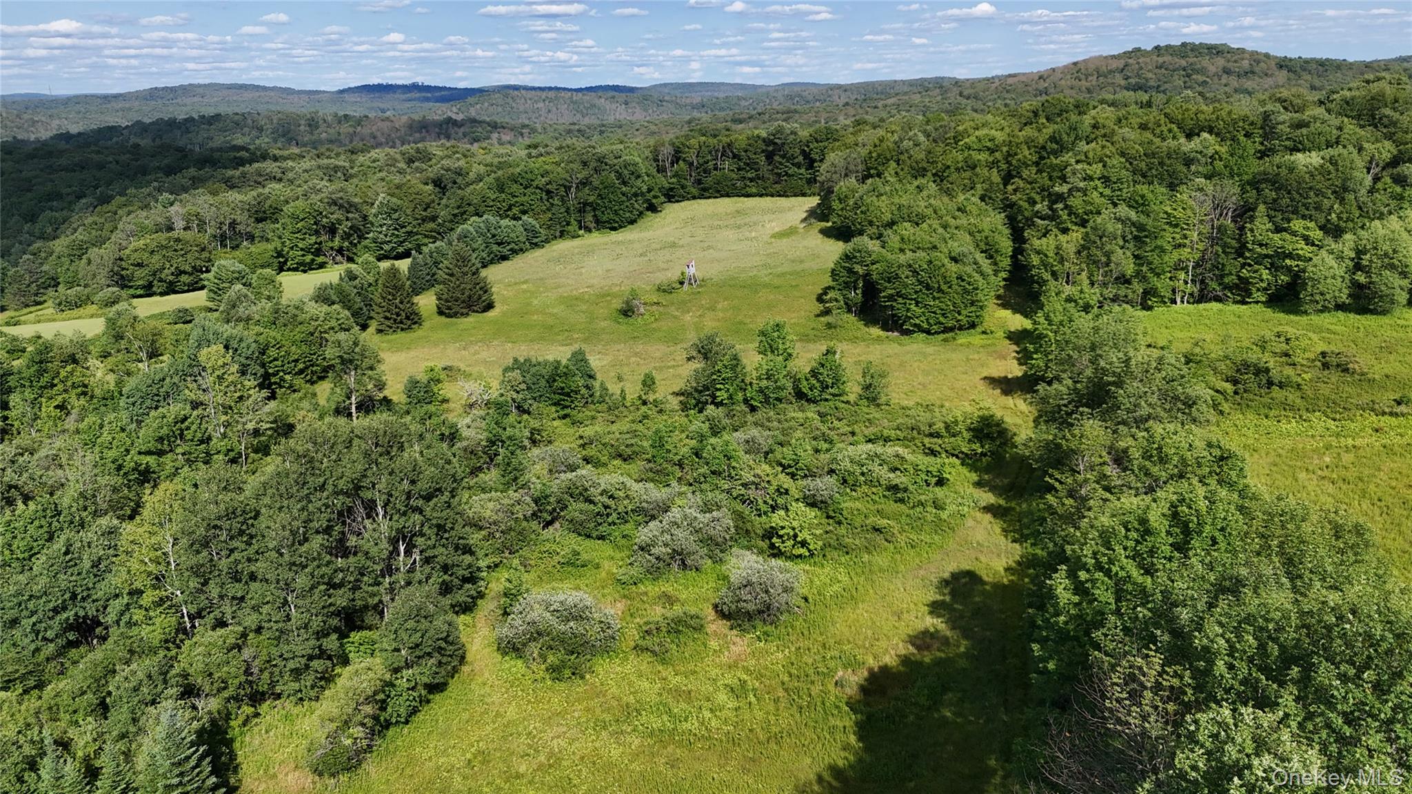 Bert Medlar Road – For Sale photo 16