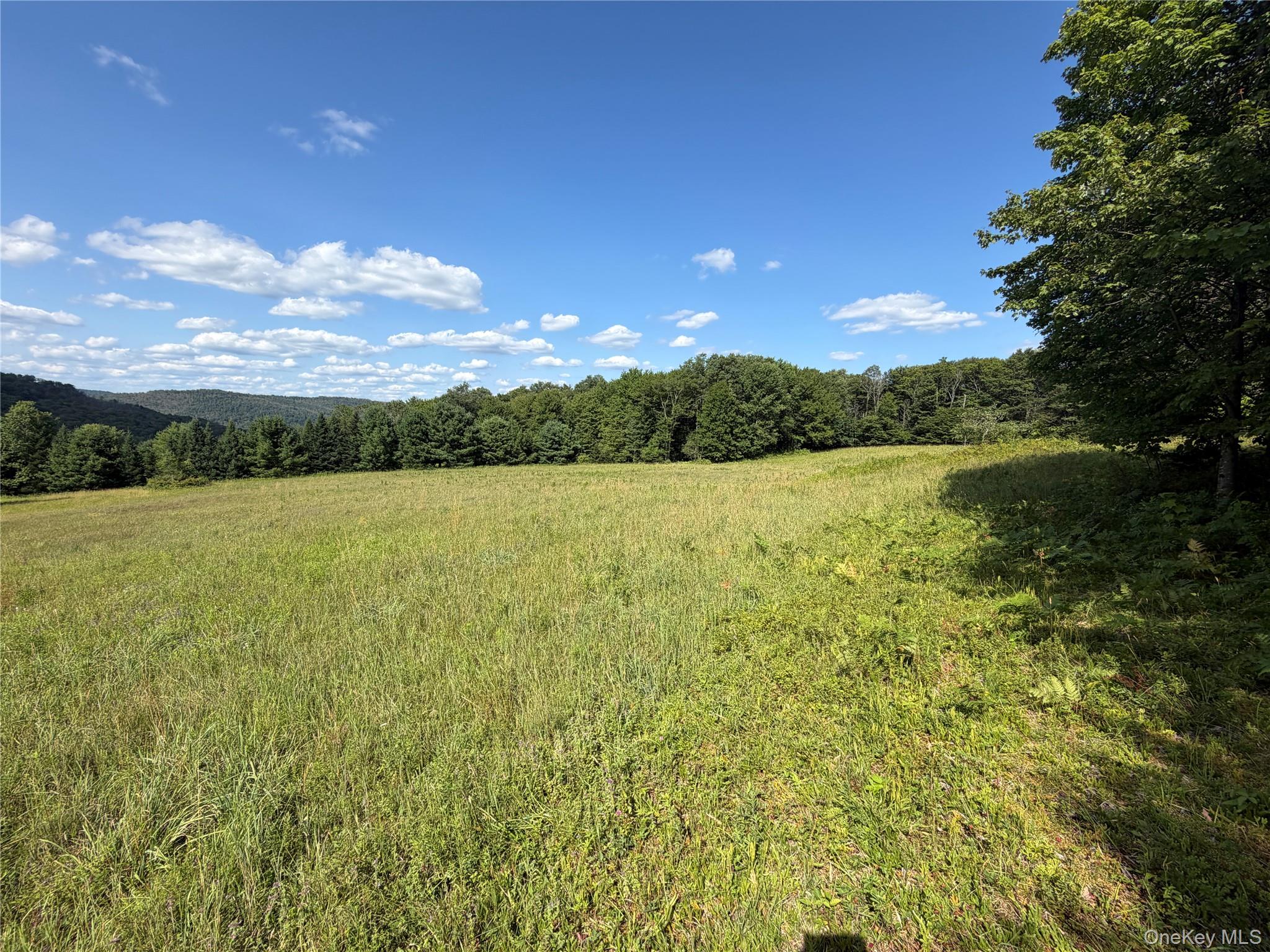 Bert Medlar Road – For Sale photo 7