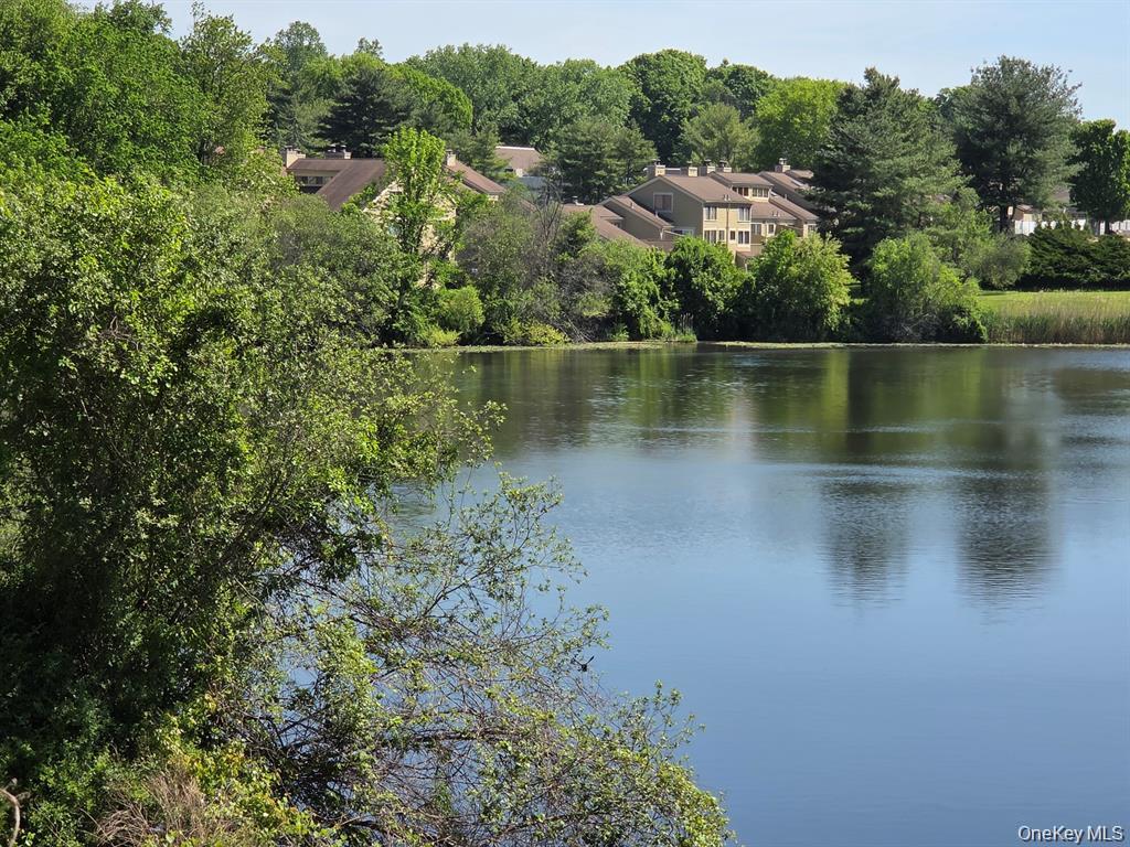 230 Lakeside Drive – For Sale photo 22