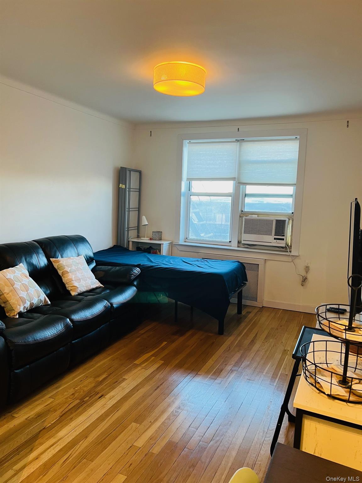 110-20 71st Ave, Unit 416 photo 6