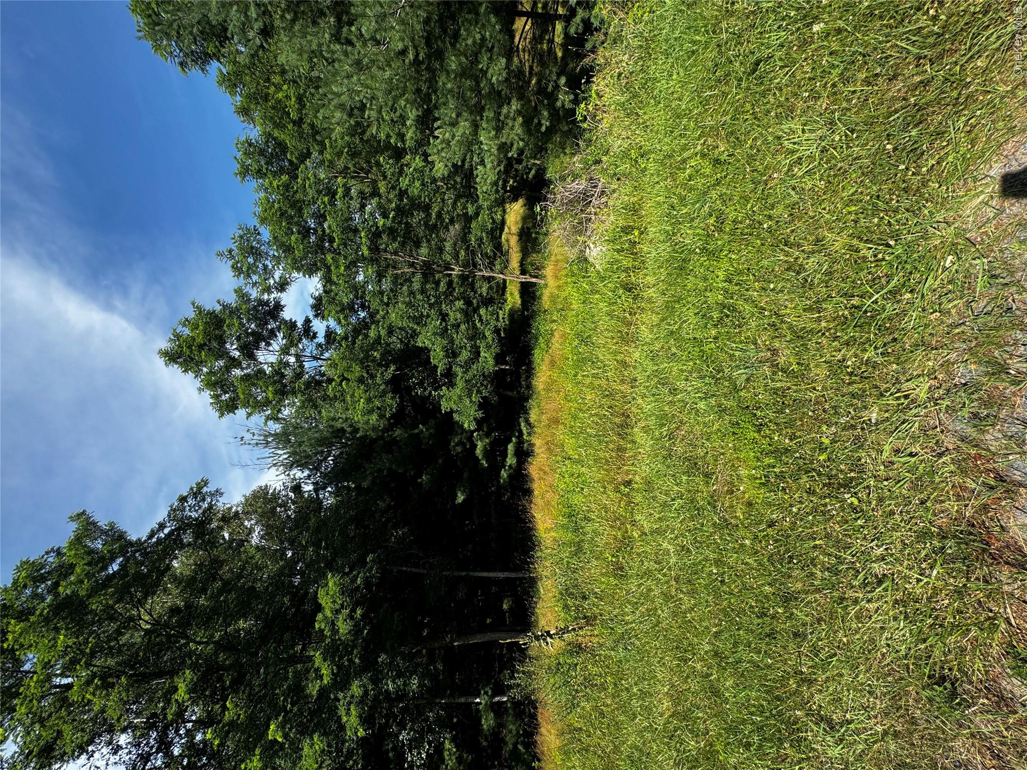 Ulster Heights Road – For Sale photo 3