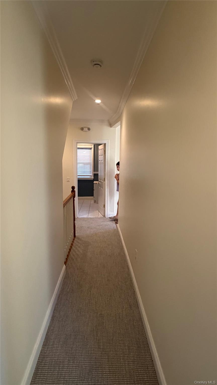 63 Harding Avenue, Unit 2 photo 14