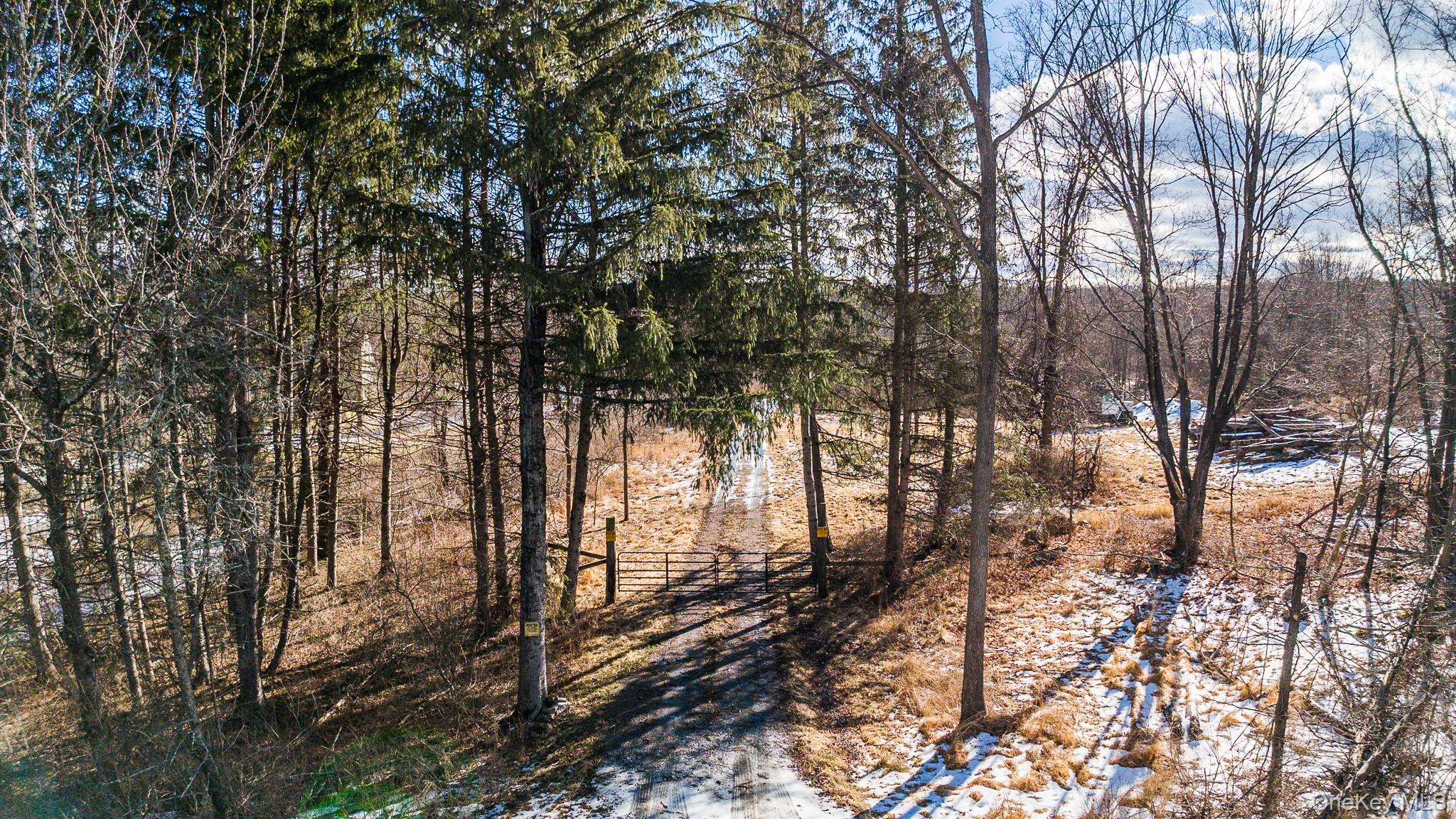 64 Seaman Road – For Sale photo 23