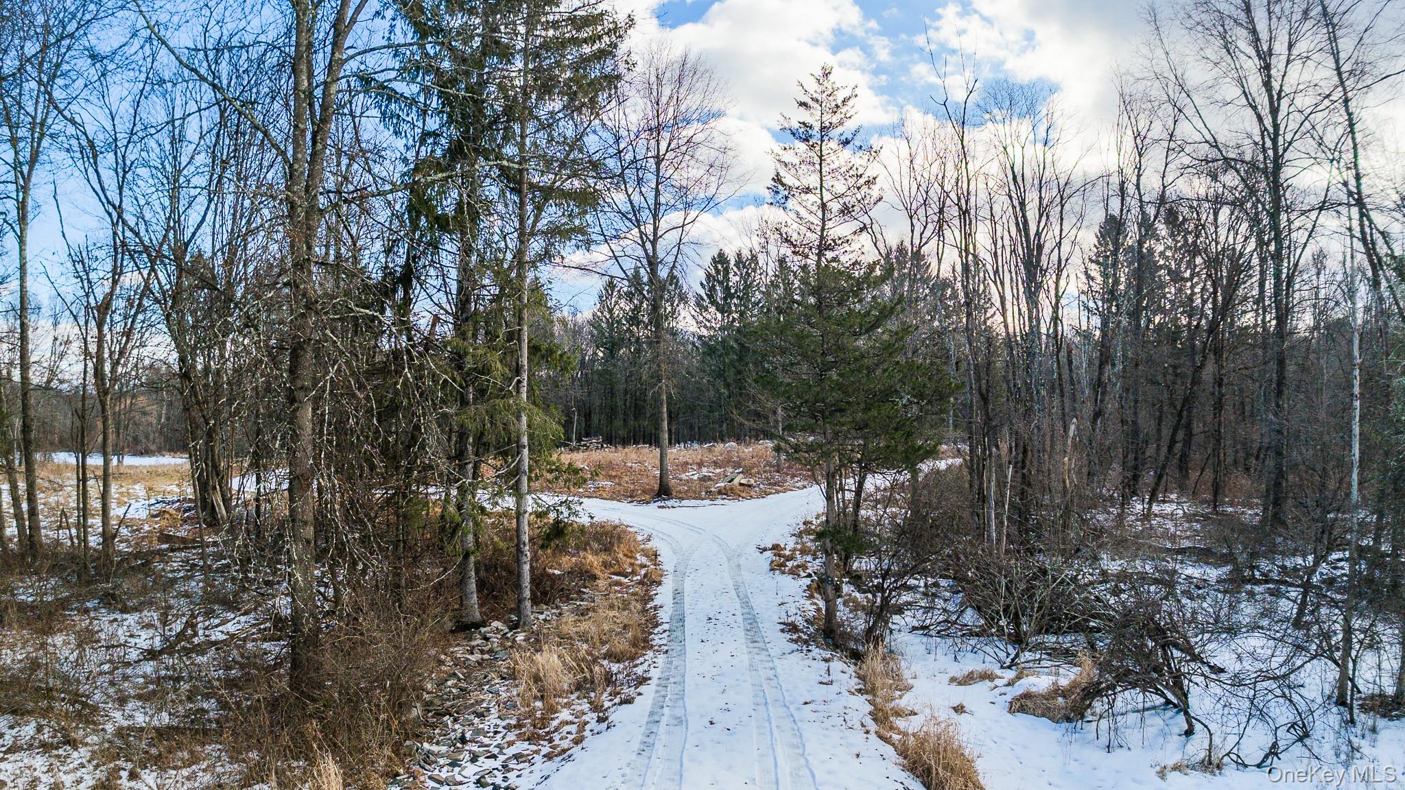 64 Seaman Road – For Sale photo 3