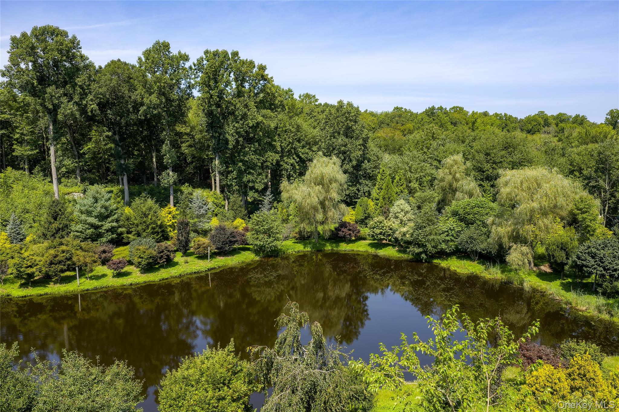 25 Edgar Road – For Sale photo 22